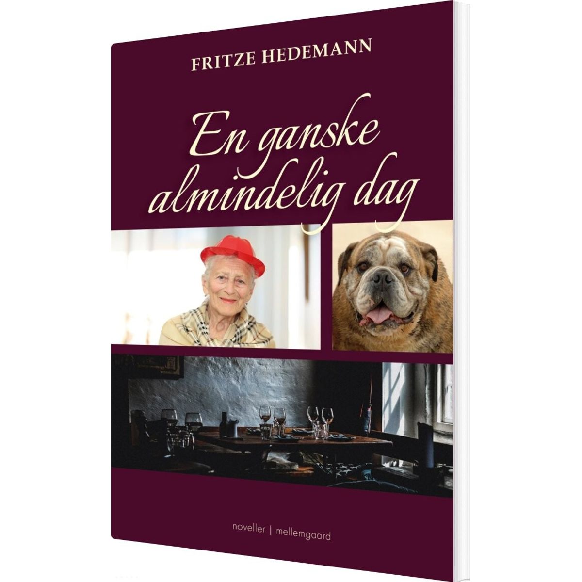 En Ganske Almindelig Dag - Fritze Hedemann - Bog