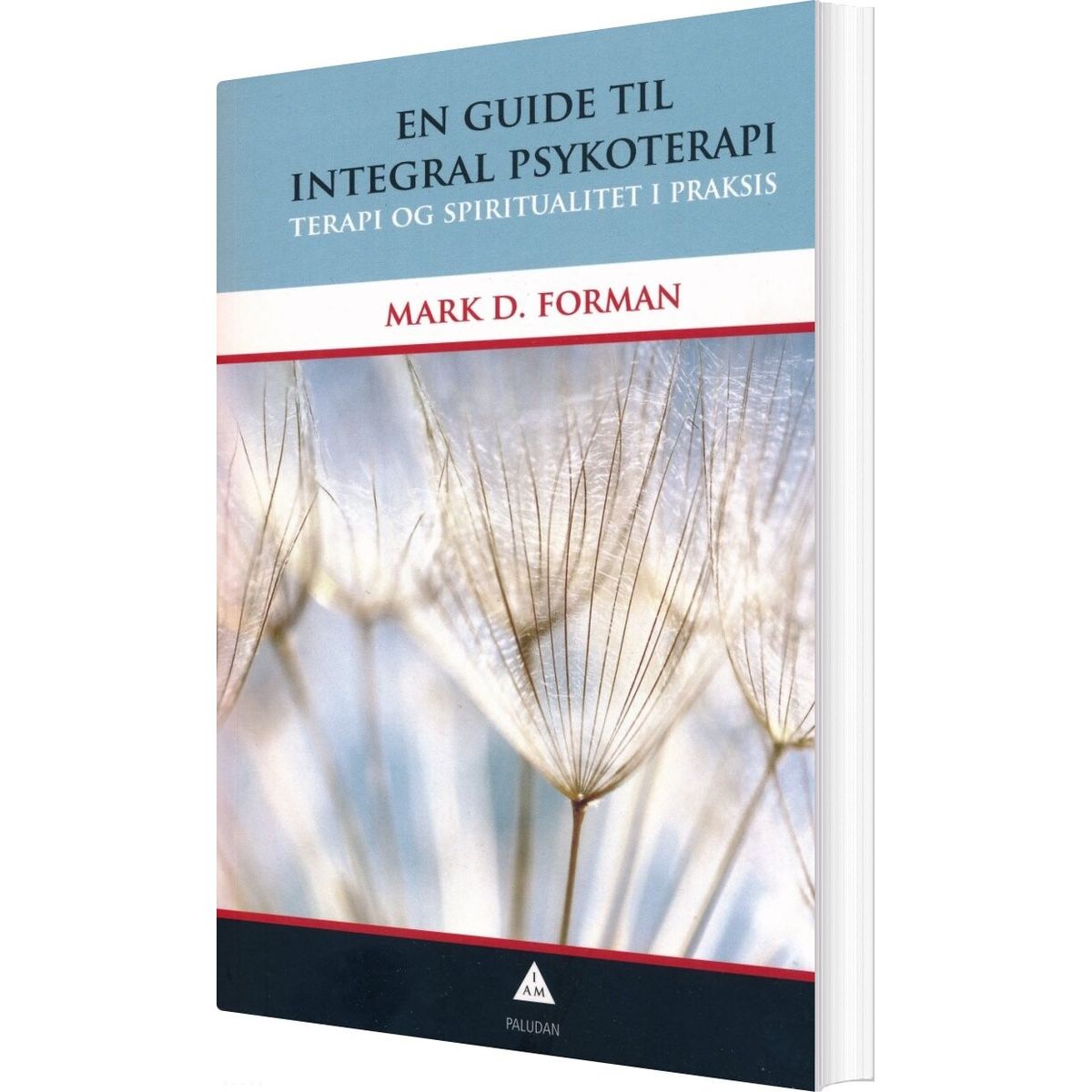 En Guide Til Integral Psykoterapi - Mark D. Forman - Bog