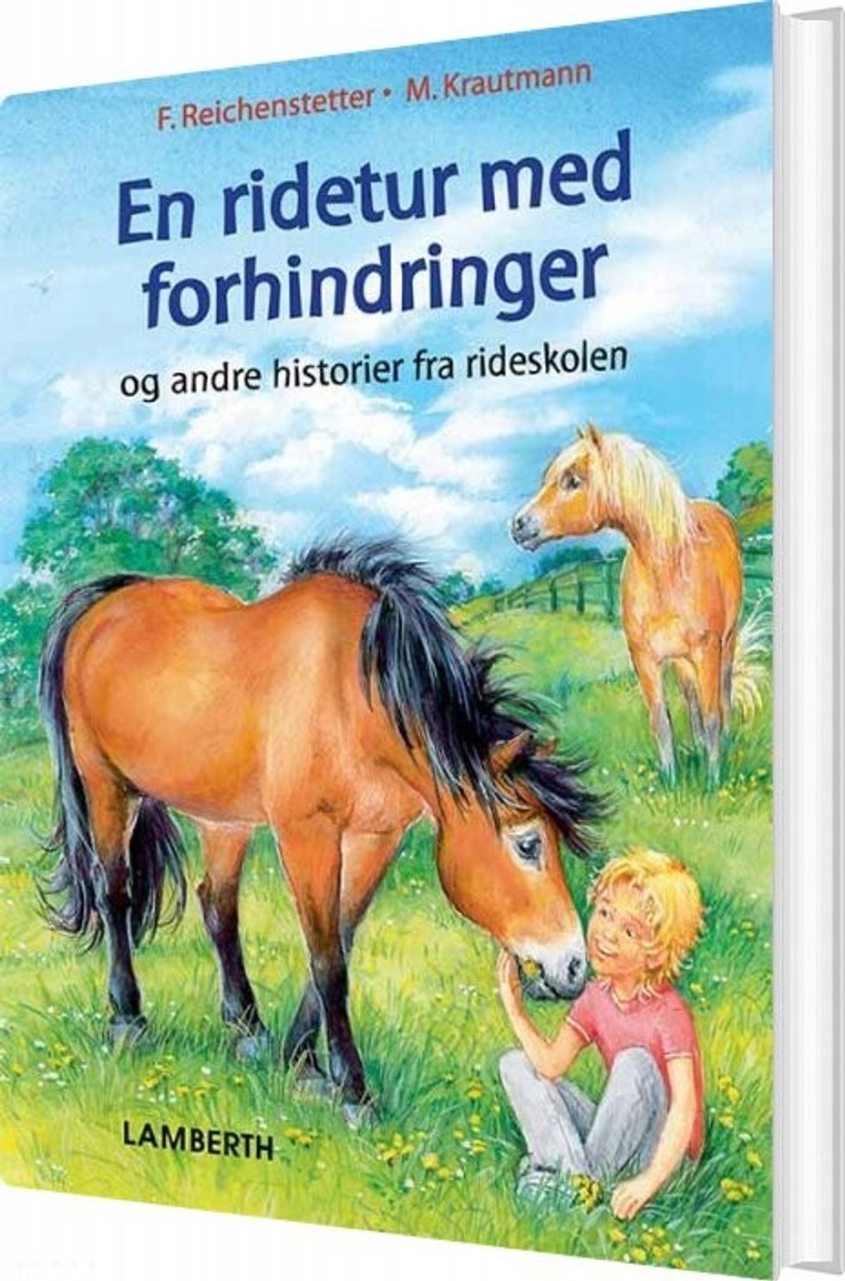 En Ridetur Med Forhindringer - Friederun Reichenstetter - Bog