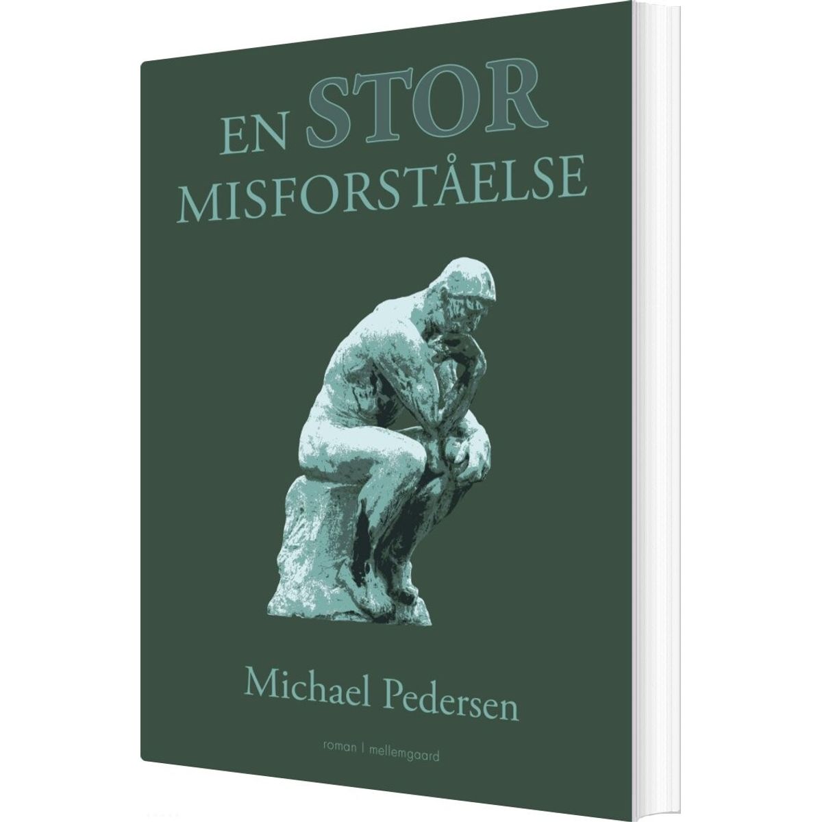 En Stor Misforståelse - Michael Pedersen - Bog