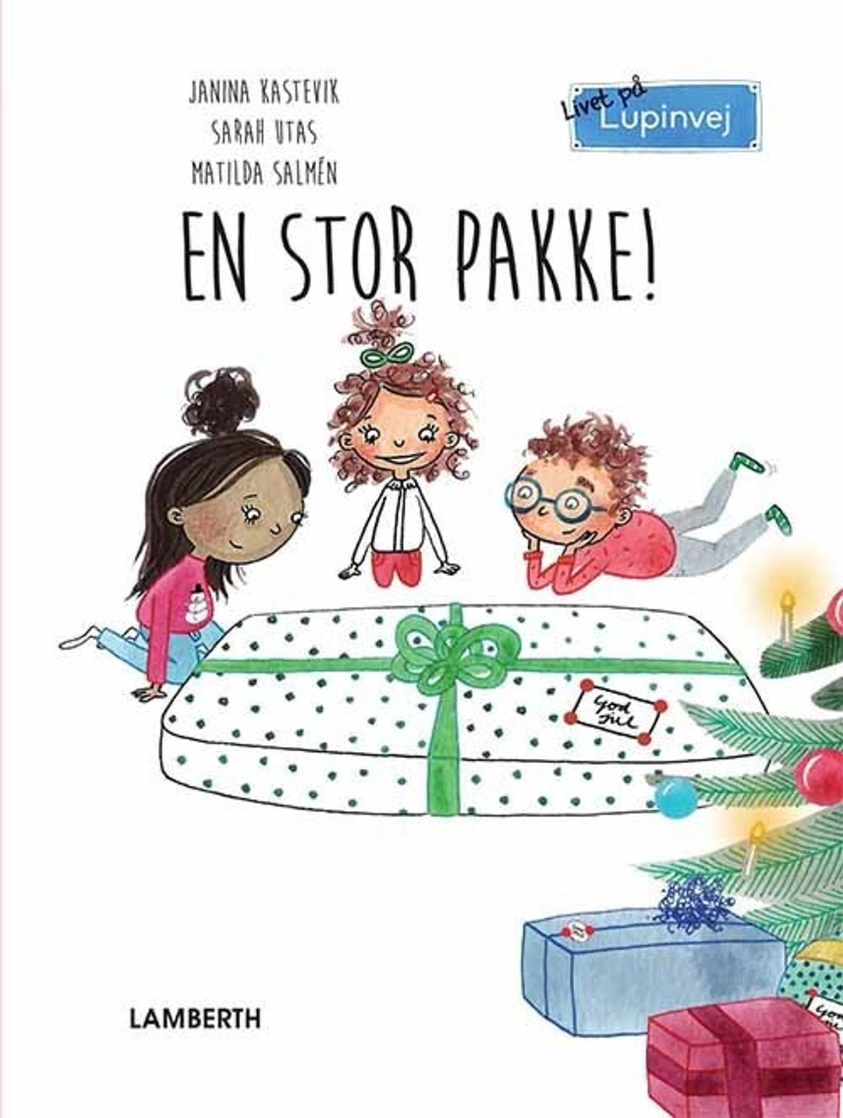 En Stor Pakke! - Janina Kastevik - Bog