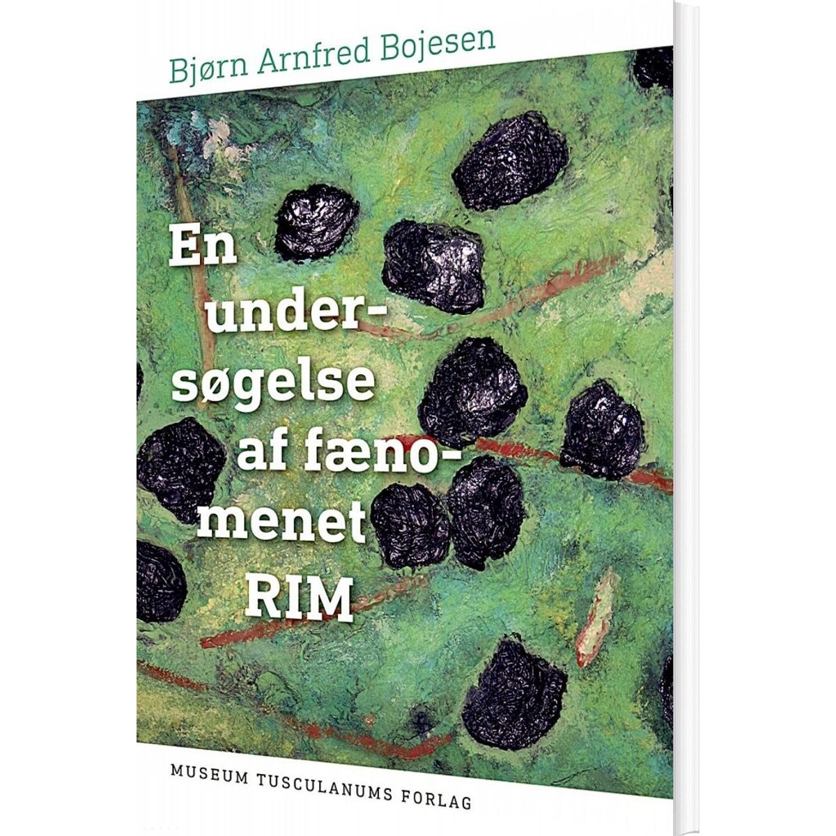 En Undersøgelse Af Fænomenet Rim - Bjørn Arnfred Bojesen - Bog