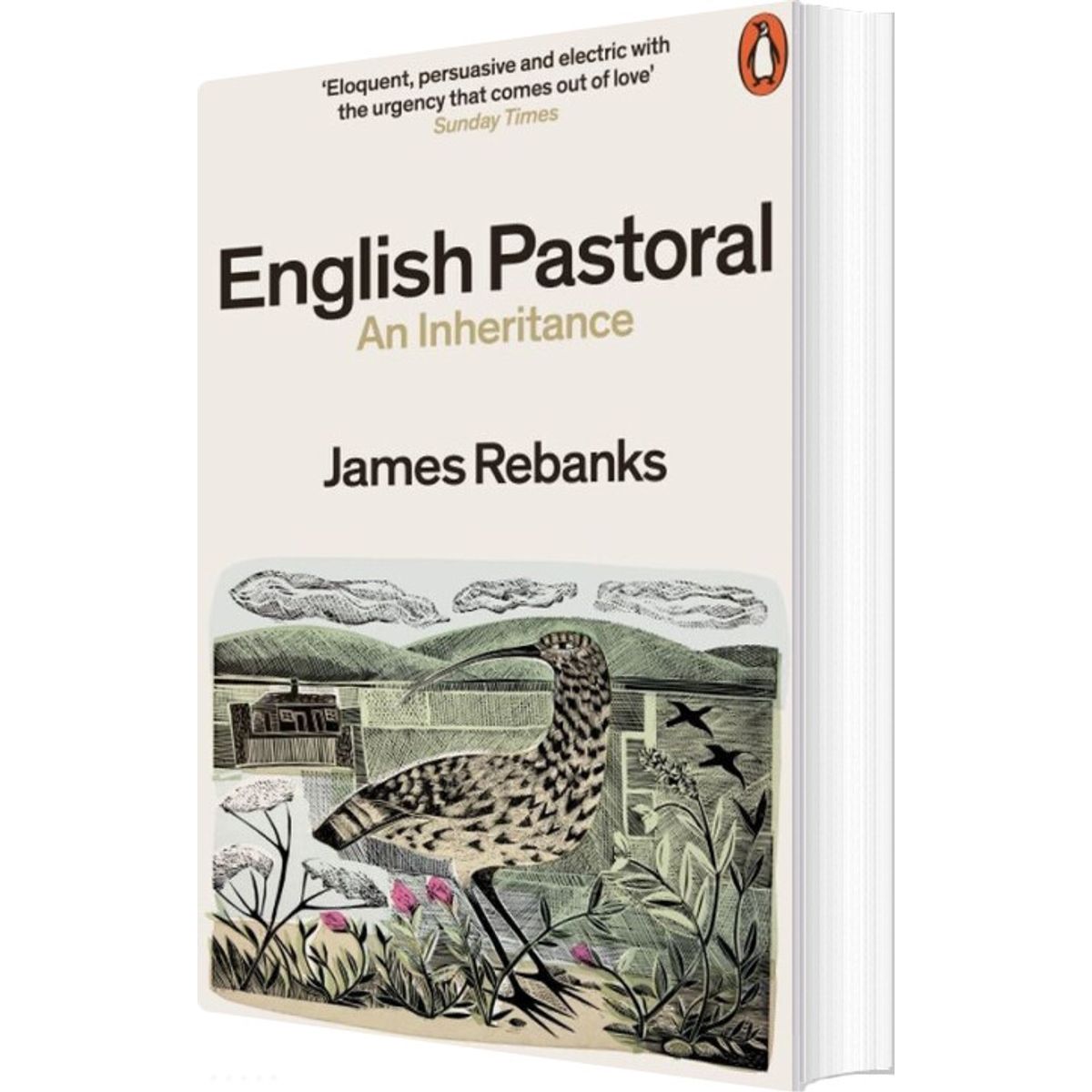 English Pastoral: An Inheritance - James Rebanks - English Book