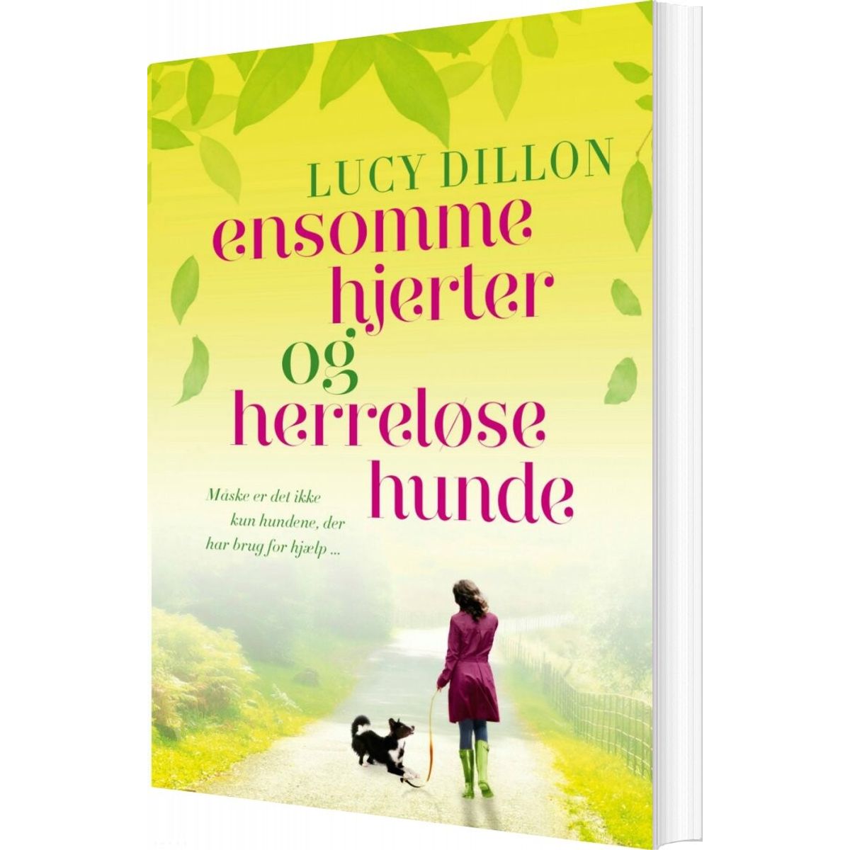 Ensomme Hjerter Og Herreløse Hunde - Lucy Dillon - Bog