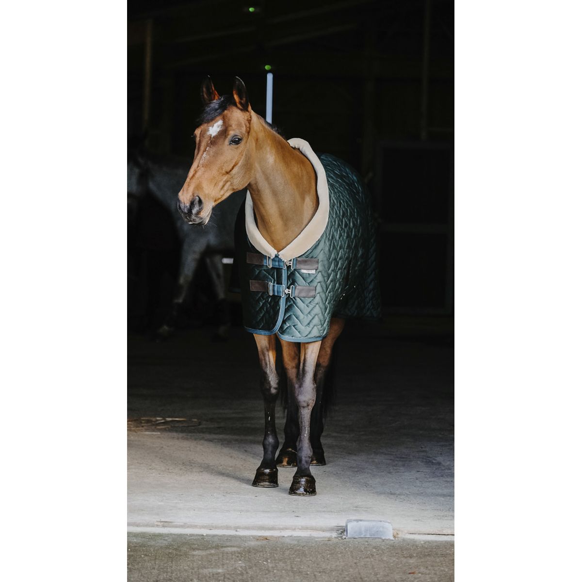 Equitheme showrug Sort 135 cm