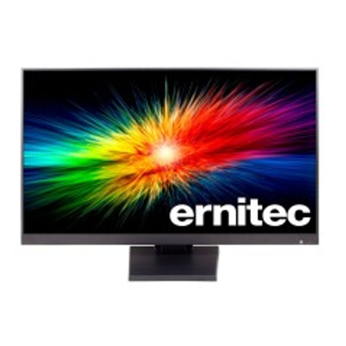 Ernitec 22" Surveillance monitor for