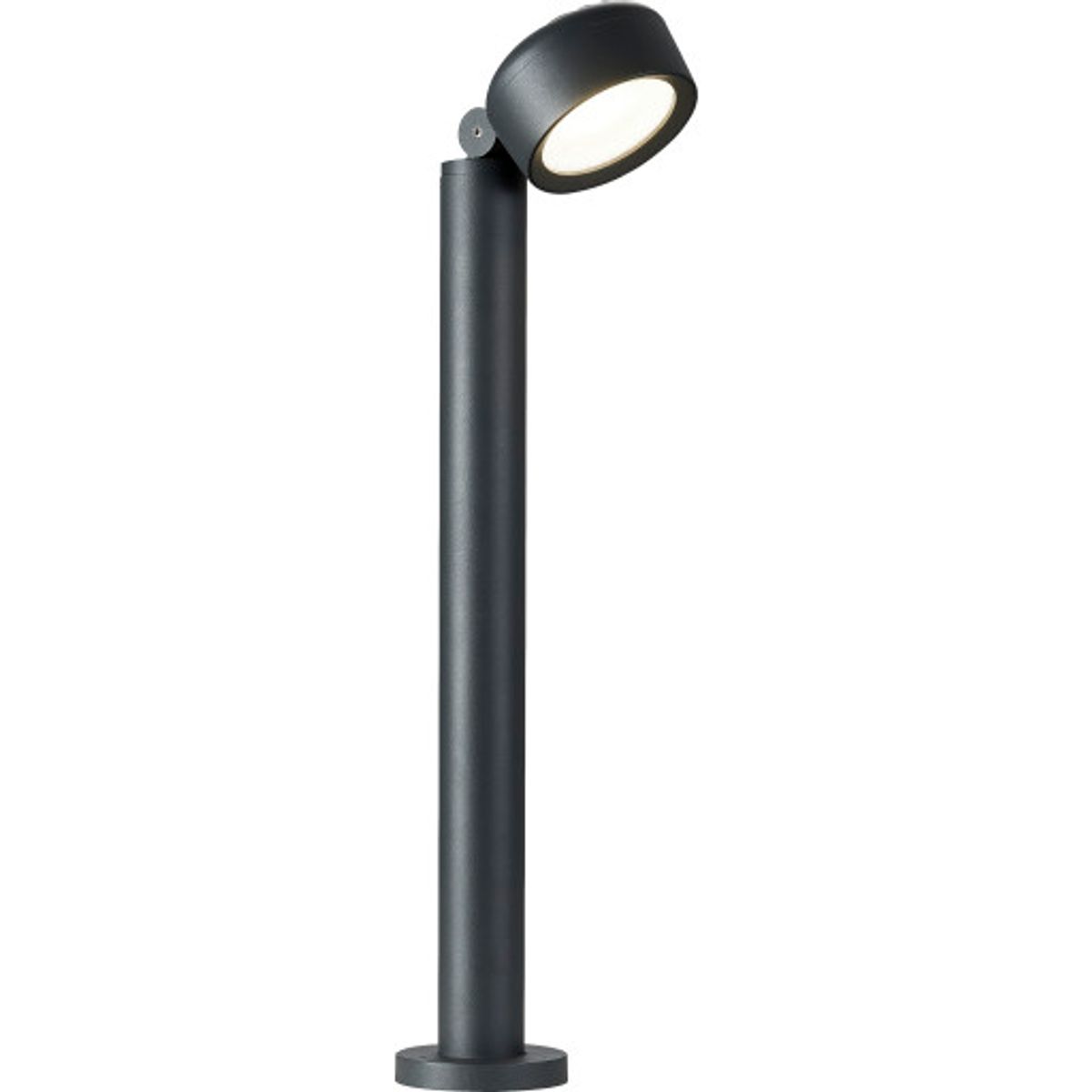 ESKINA80 Pole bedlampe IP65, dæmpbar, antracit