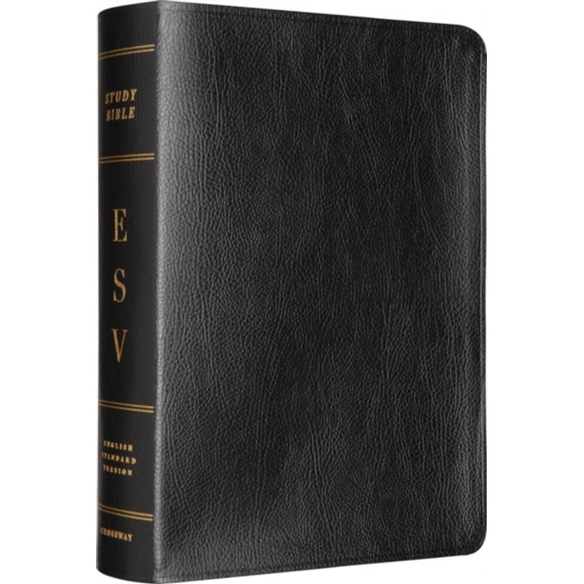 ESV Study Bible