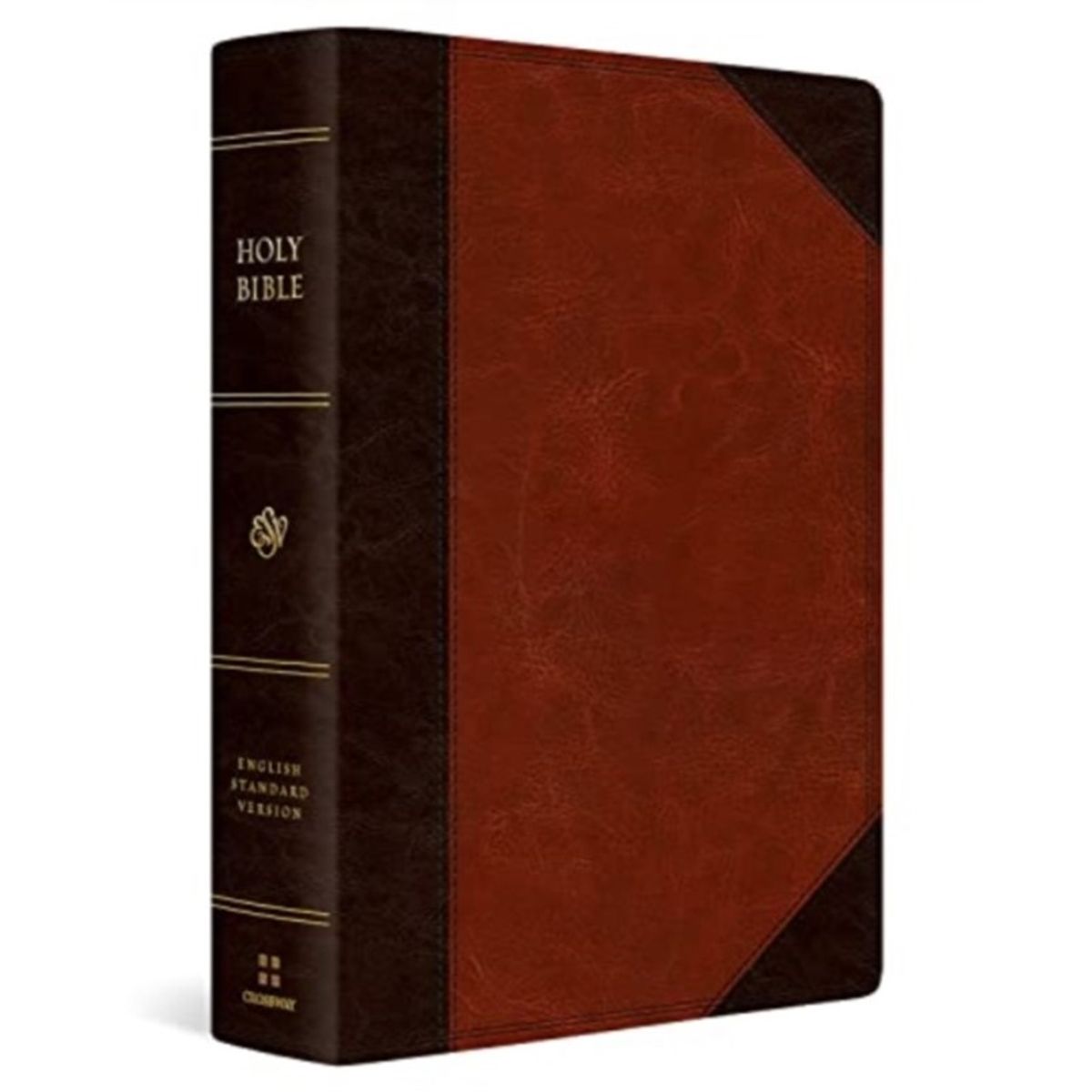 ESV Super Giant Print Bible