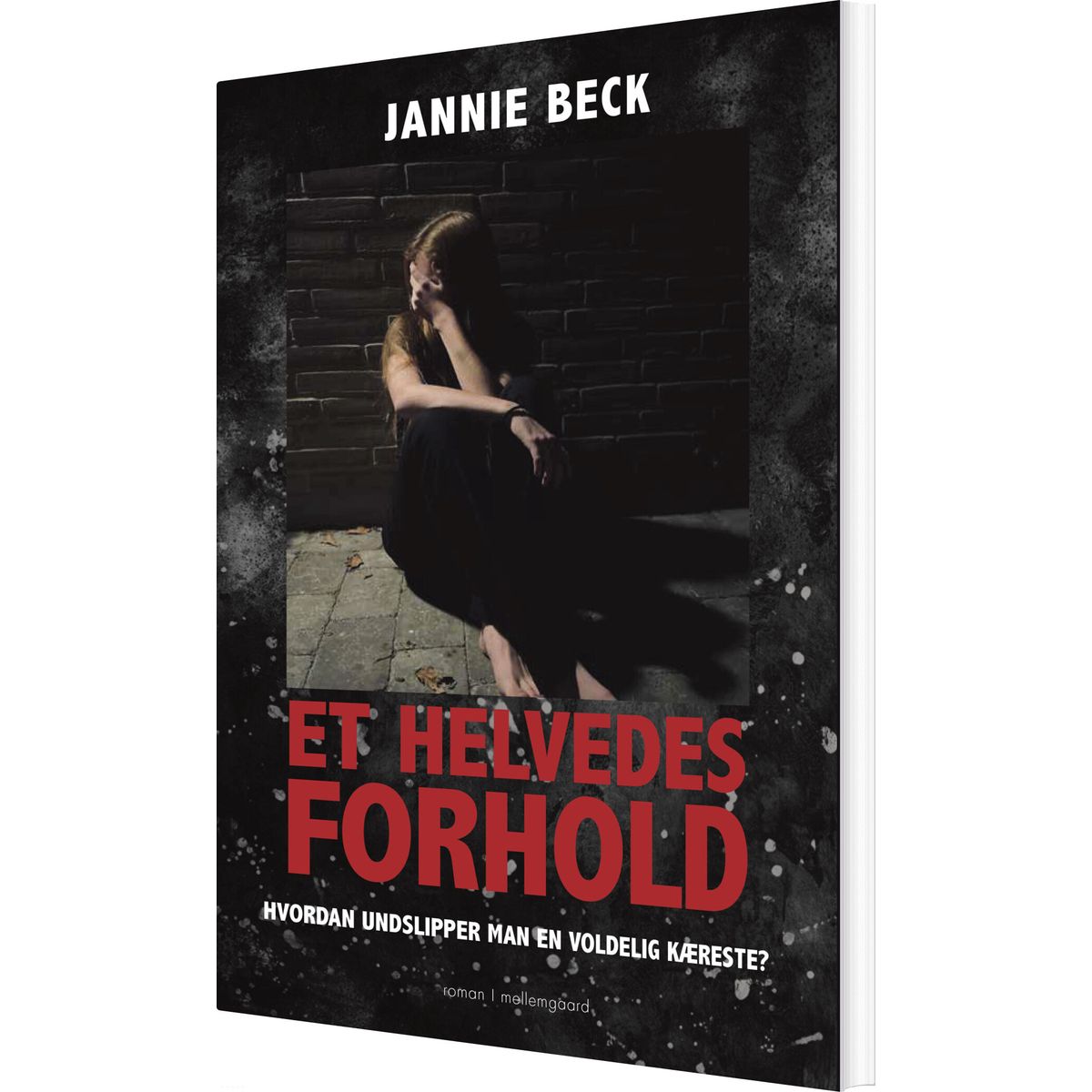 Et Helvedes Forhold - Jannie Beck - Bog