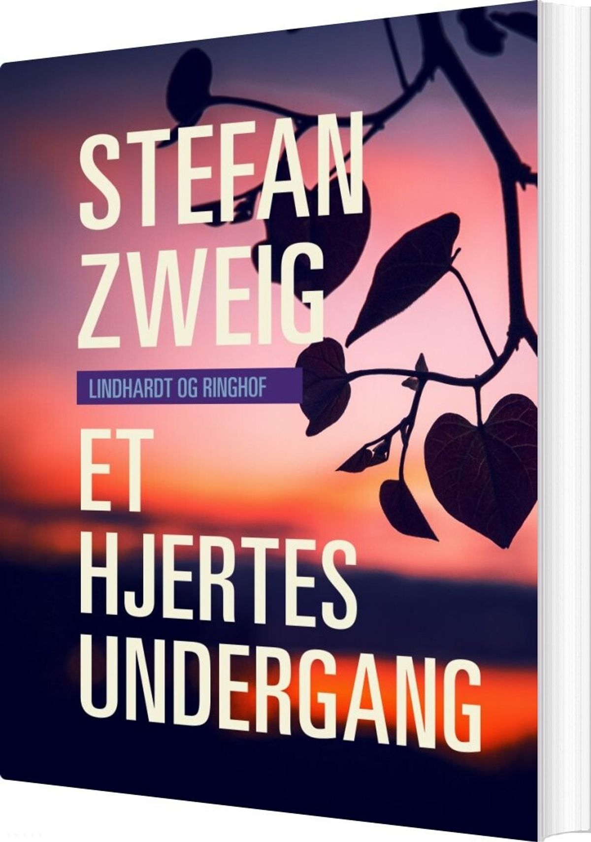 Et Hjertes Undergang - Stefan Zweig - Bog