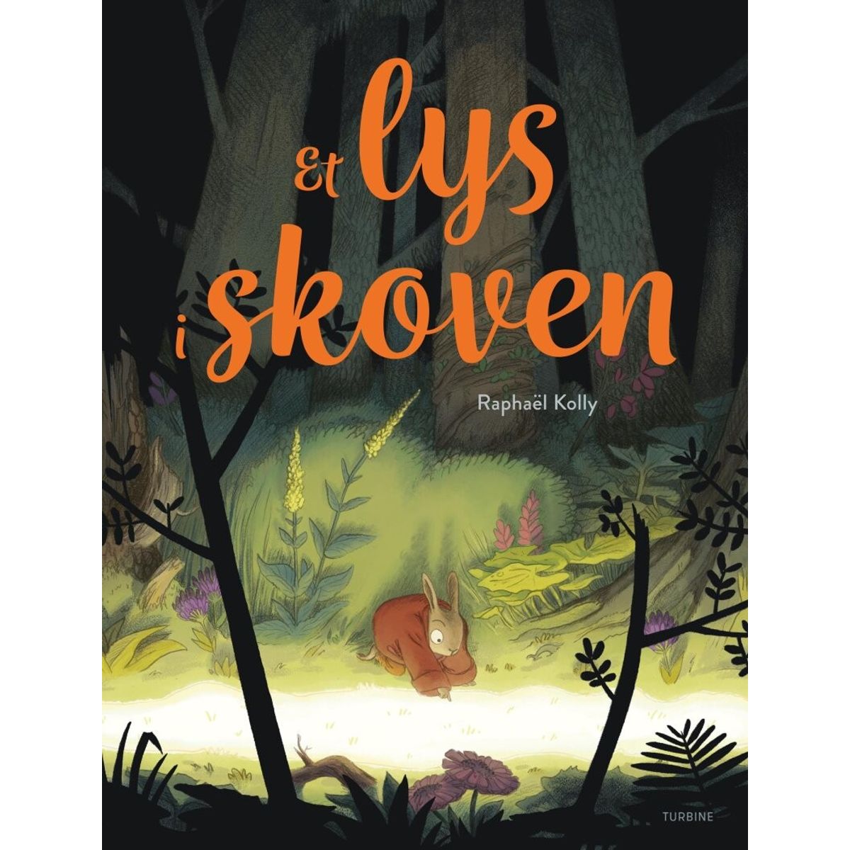 Et Lys I Skoven - Raphaël Kolly - Bog