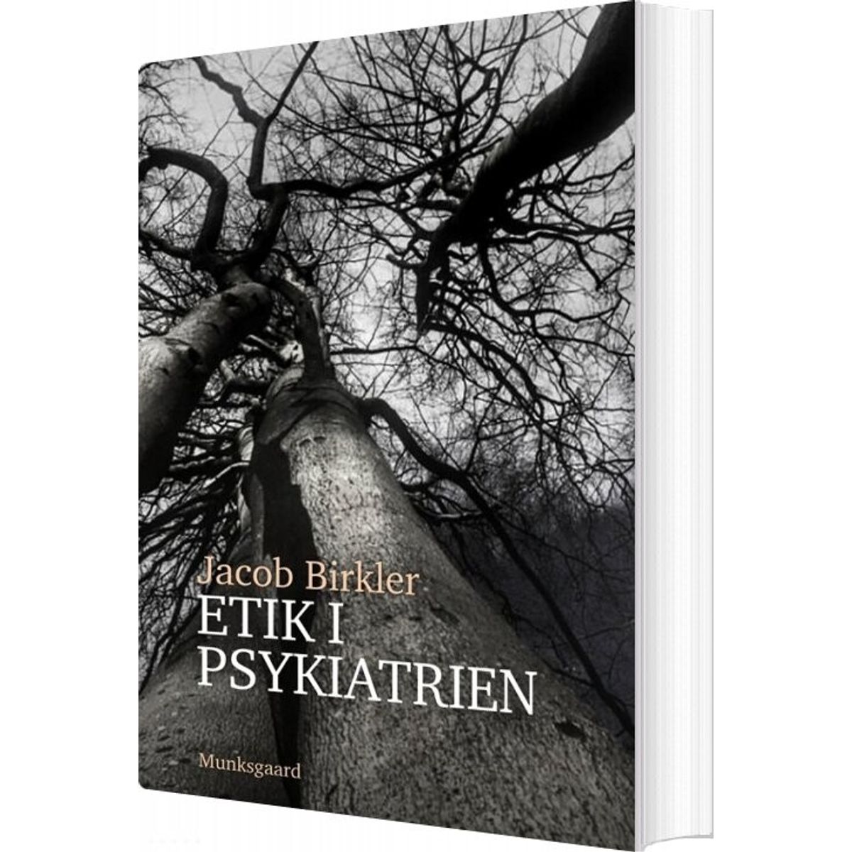 Etik I Psykiatrien - Jacob Birkler - Bog