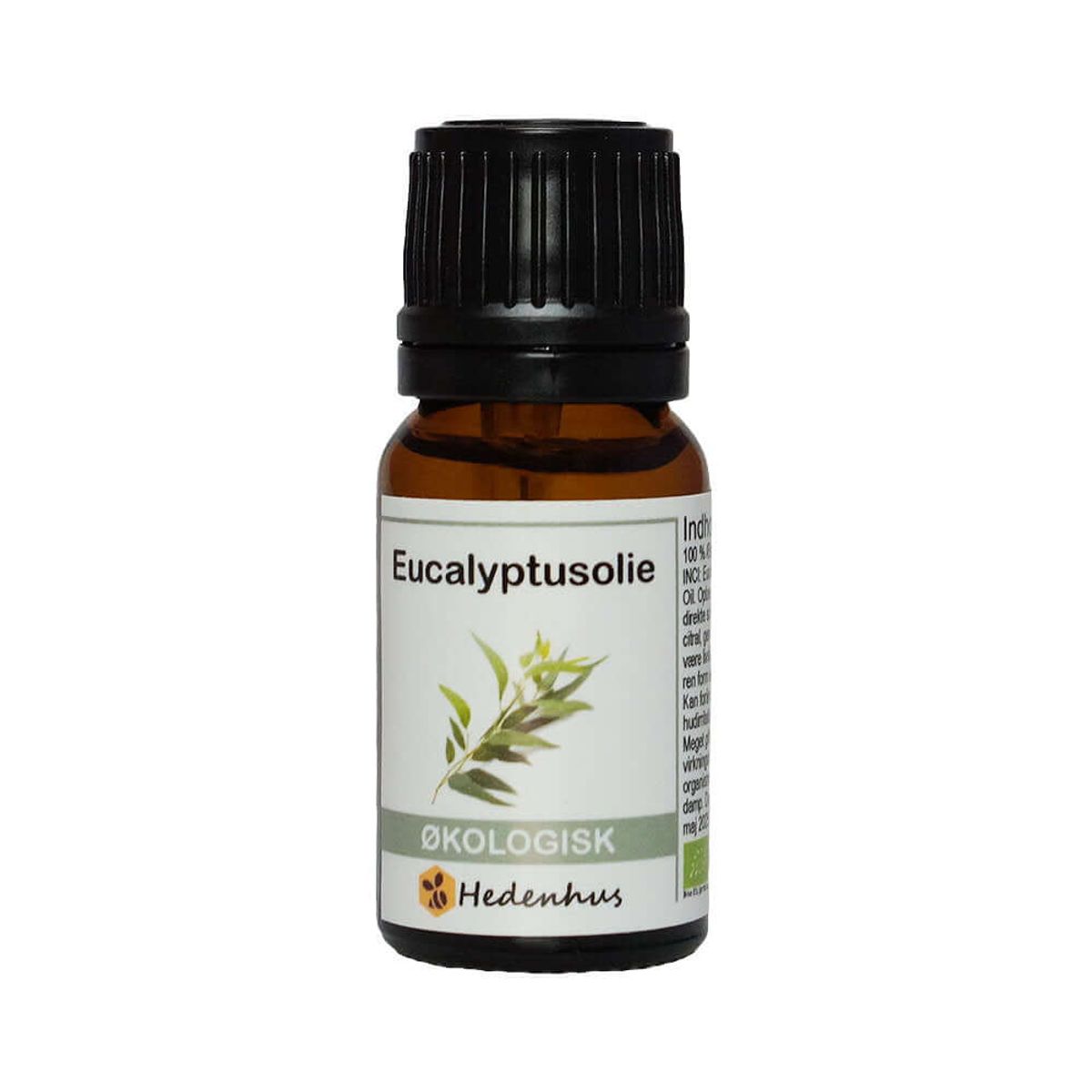 Eucalyptusolie - Økologisk - 10 ml