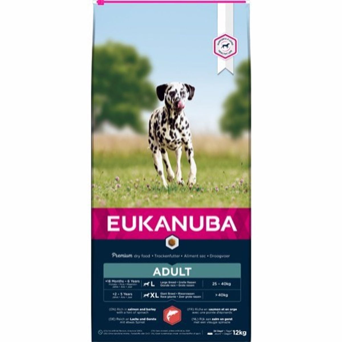 Eukanuba Large Breed, Salmon, 12 kg