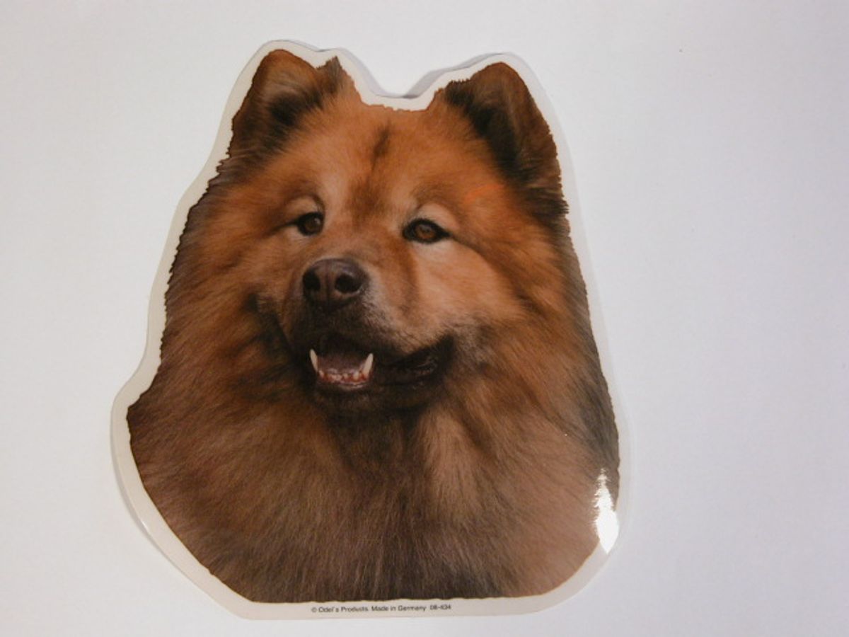 Eurasier, hv. Vælg: klistermærke, nøglering, broche, slipsenål, mm.