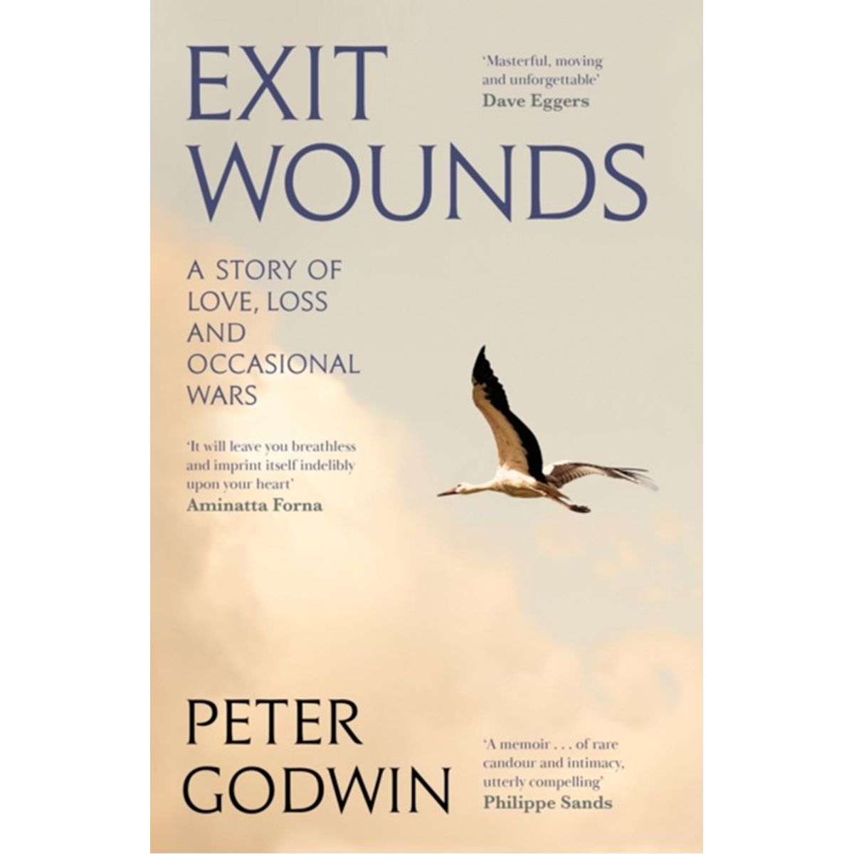 Exit Wounds