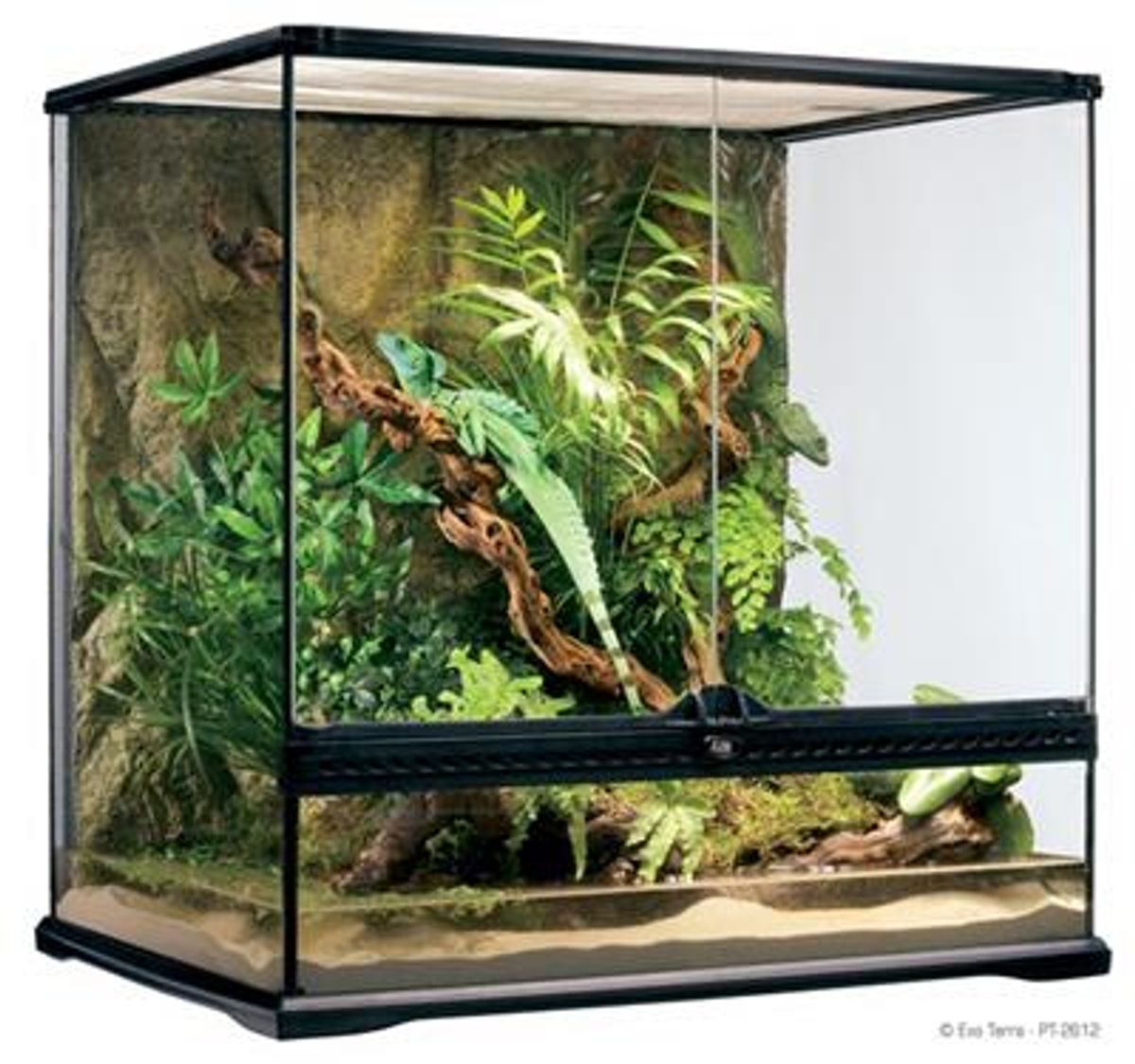 Exo Terra Terrarium - 60x45x60cm