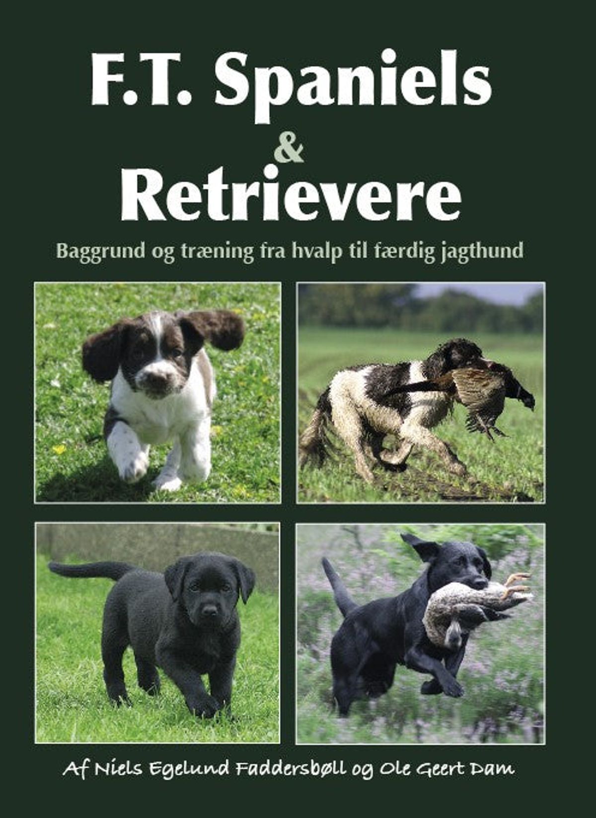 F.T. Spaniels & Retrievere