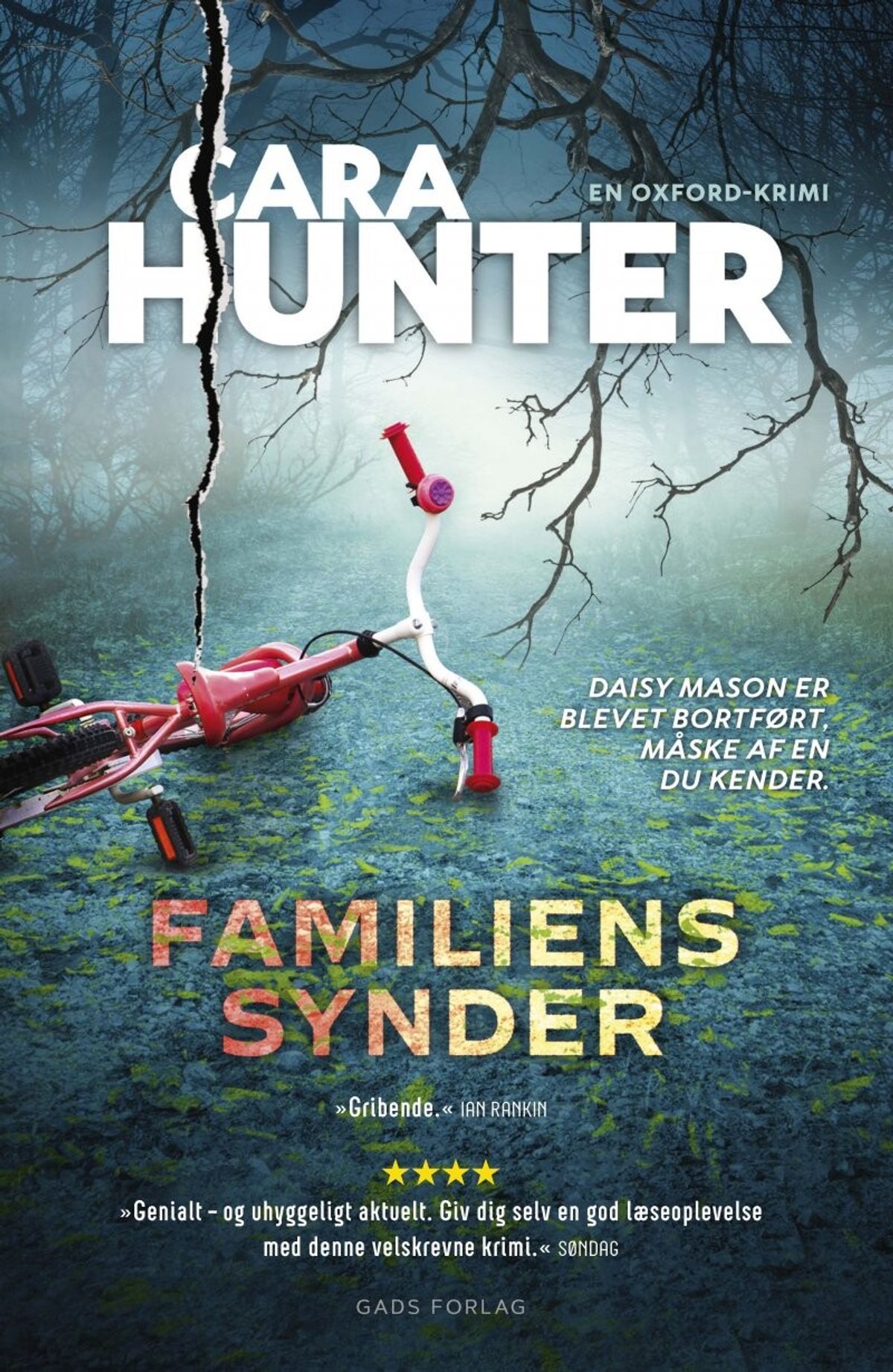 Familiens Synder - Cara Hunter - Bog