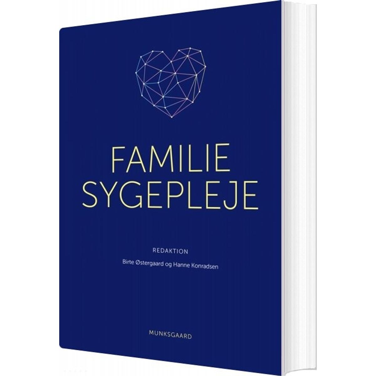 Familiesygepleje - Dorthe Nielsen - Bog