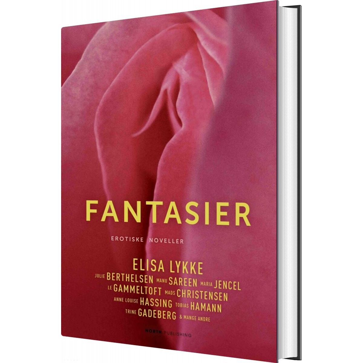 Fantasier - Elisa Lykke - Bog