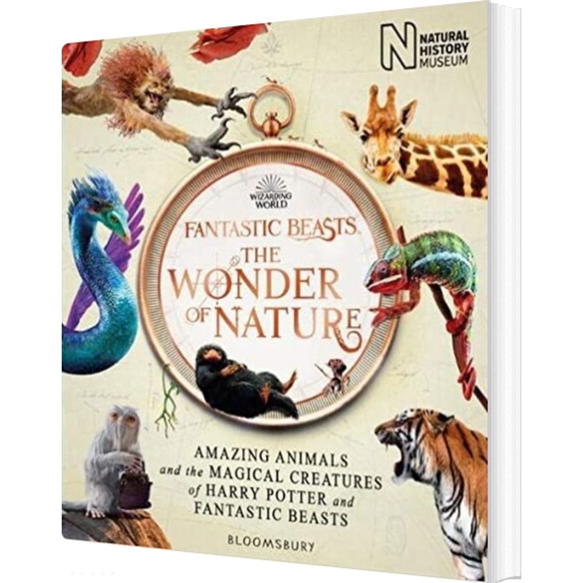 Fantastic Beasts - The Wonder Of Nature - Natural History Museum - English Book