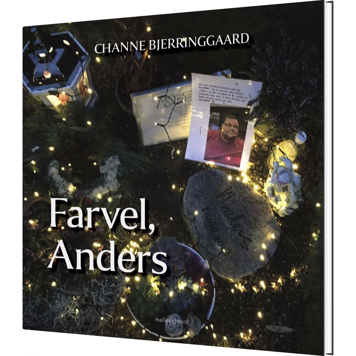 Farvel, Anders - Channe Bjerringgaard - Bog