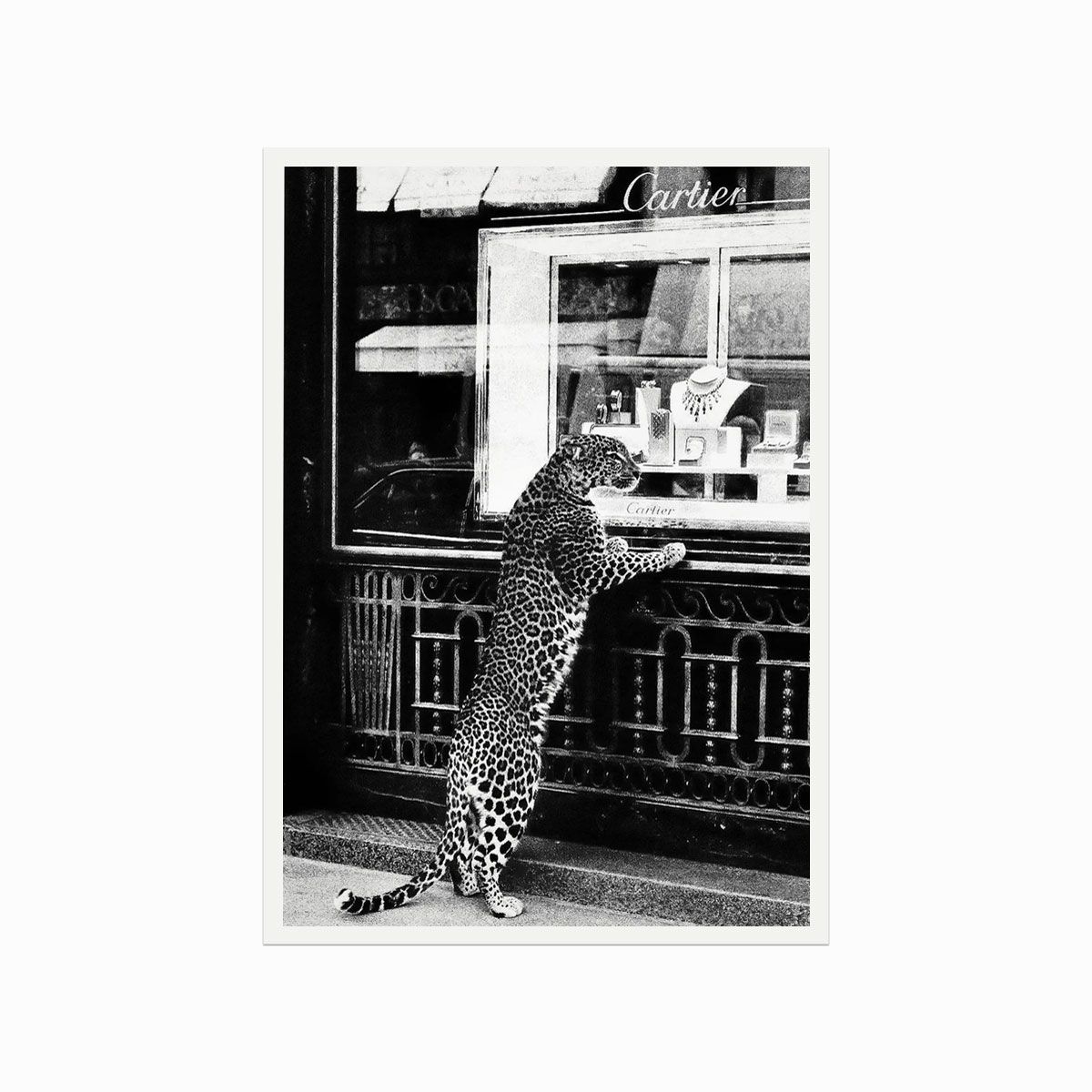 Fashion plakat Cartier (Cheetah at the jewellery store)