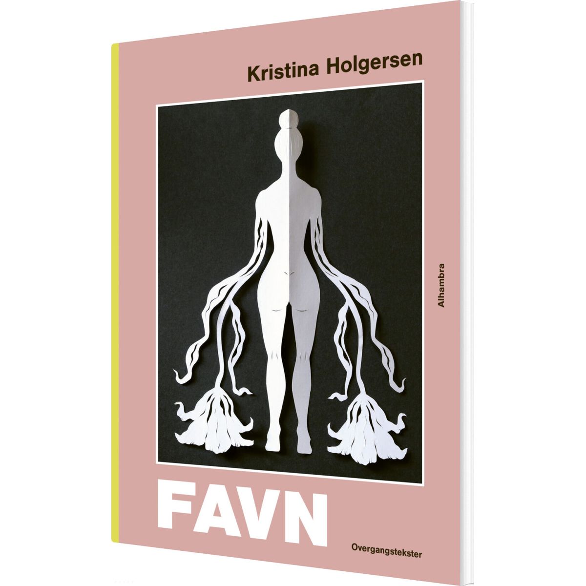 Favn - Kristina Holgersen - Bog