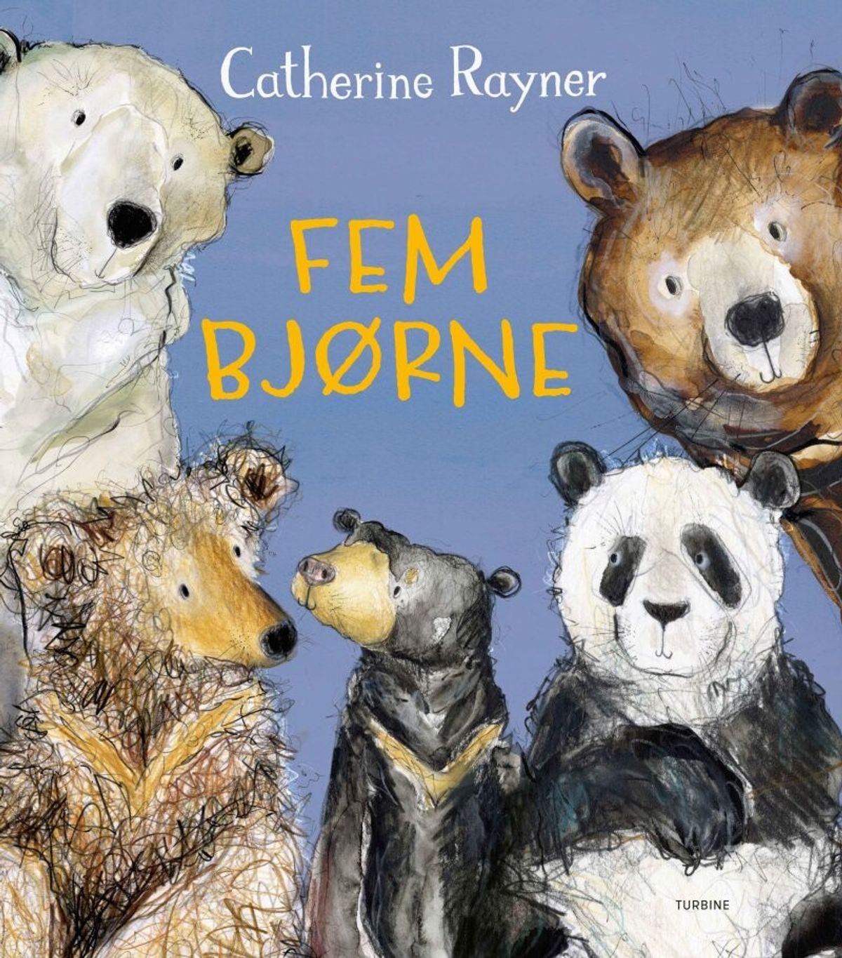 Fem Bjørne - Catherine Rayner - Bog