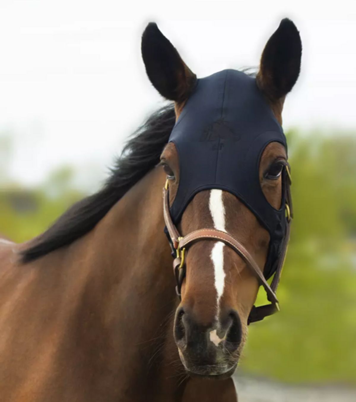 Fenwick Equestrian Liquid Titanium® maske - Karabinlukning - XS