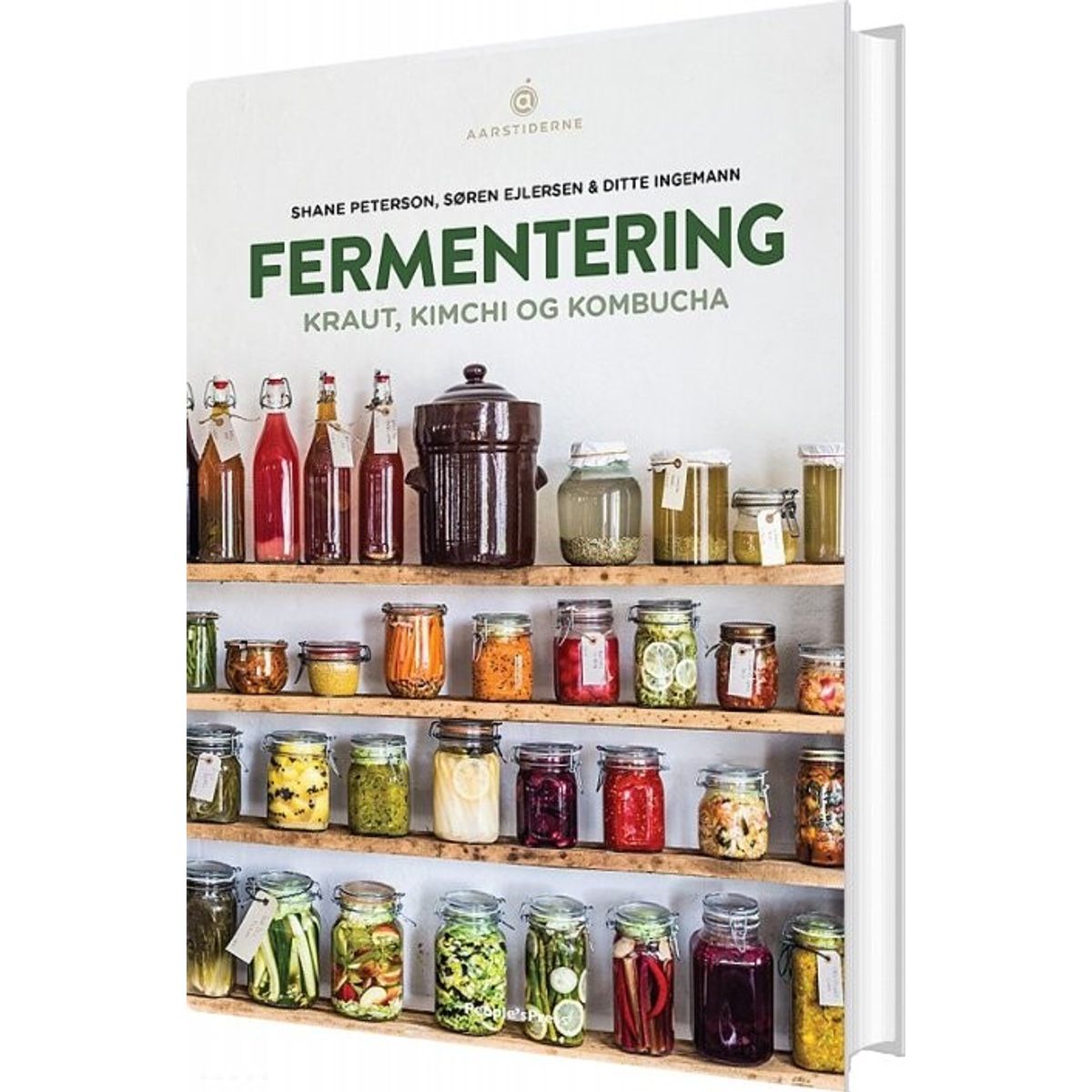 Fermentering - Søren Ejlersen - Bog