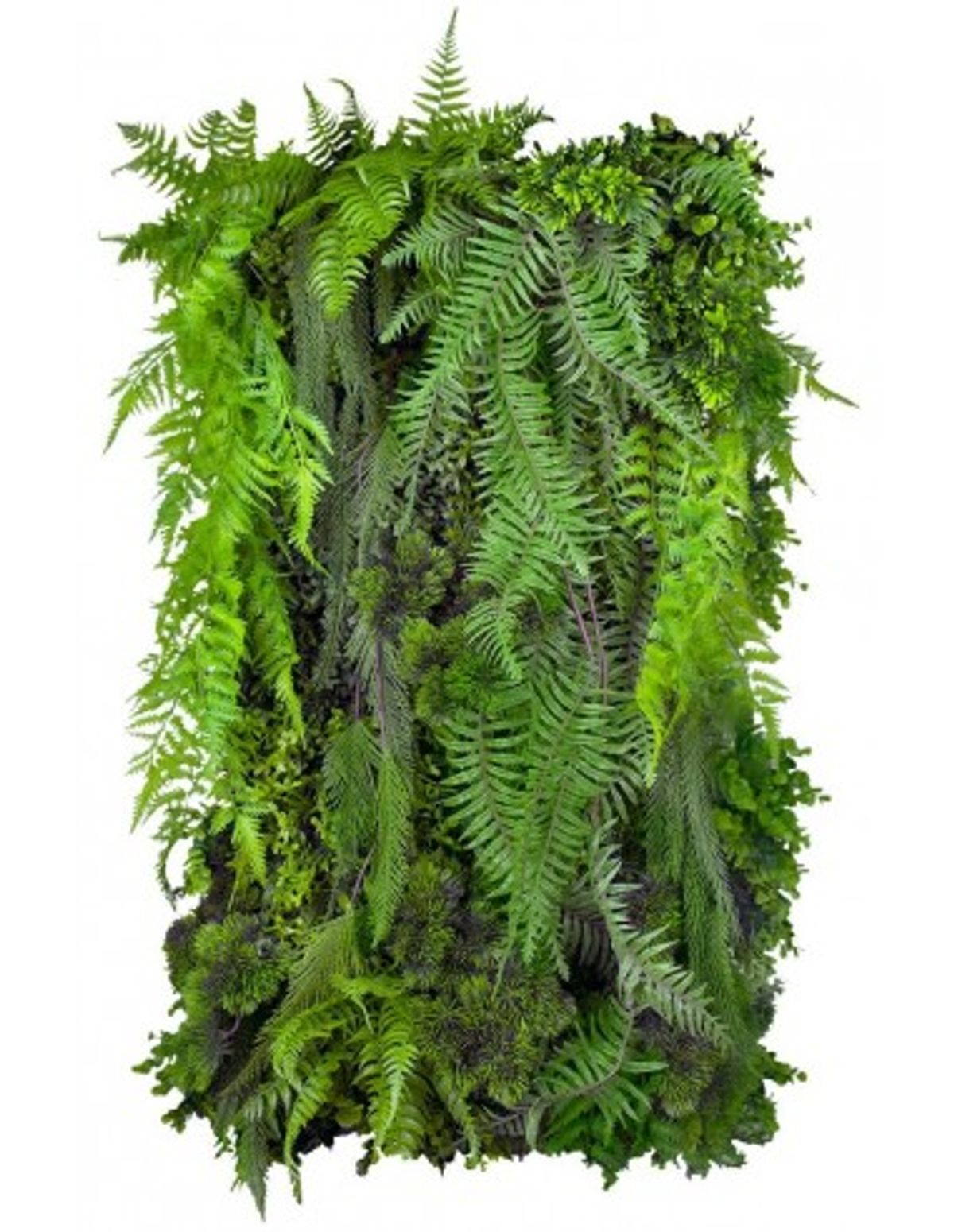 Fern Cascade Plantevæg med kunstige planter 100 x 50 cm