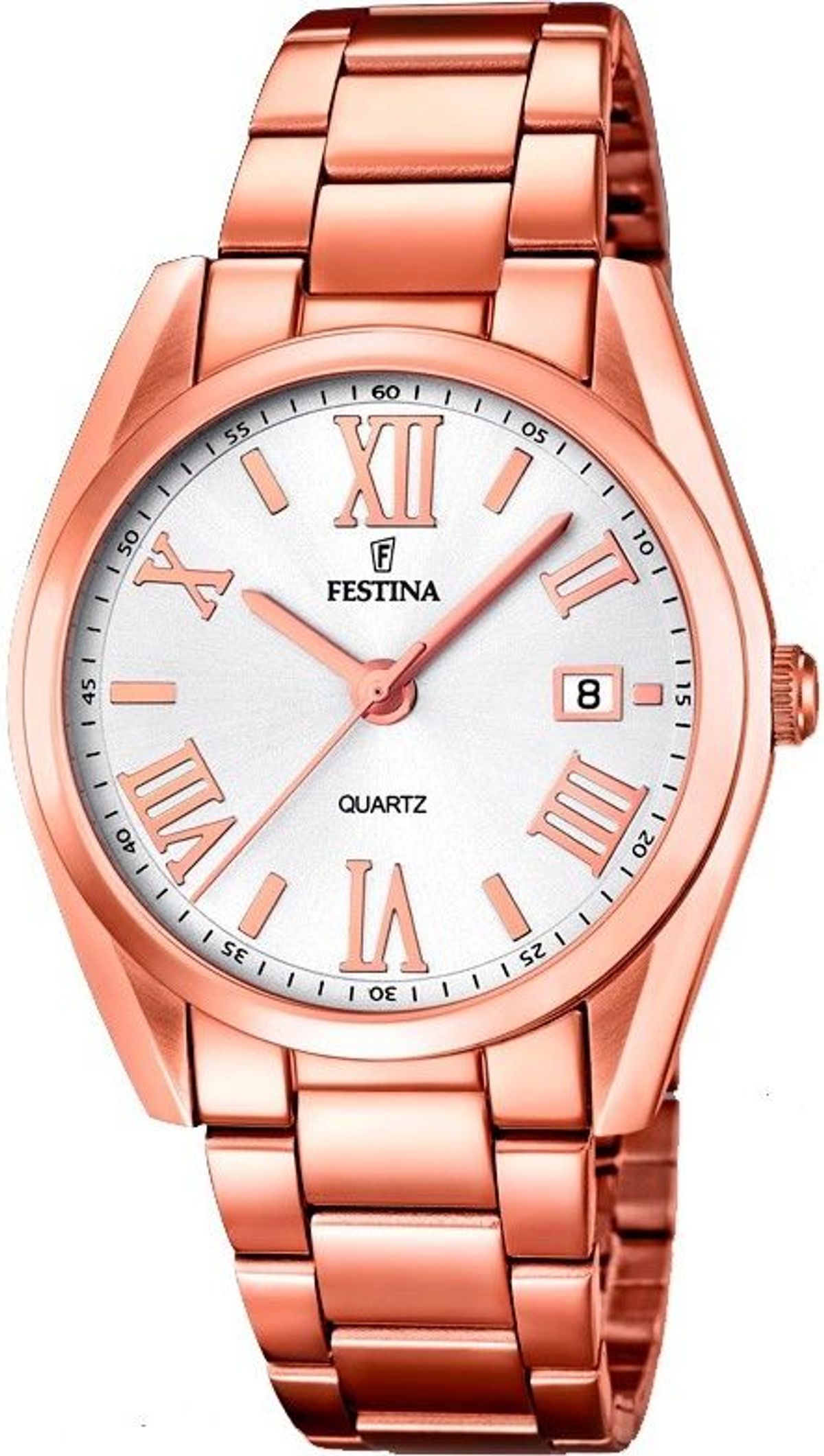 Festina Dameur Trend 16793/1