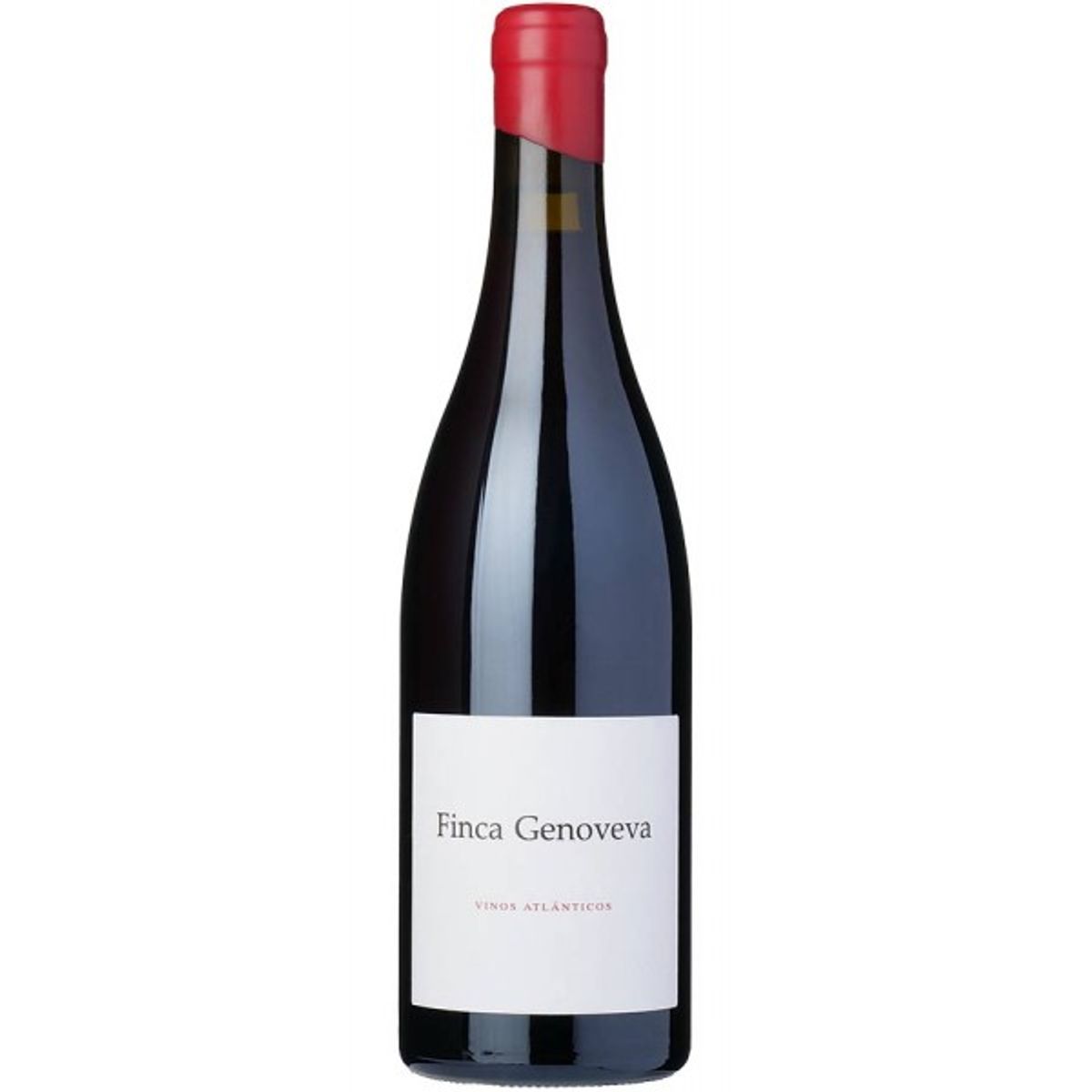 Finca Genoveva Caíño 2018