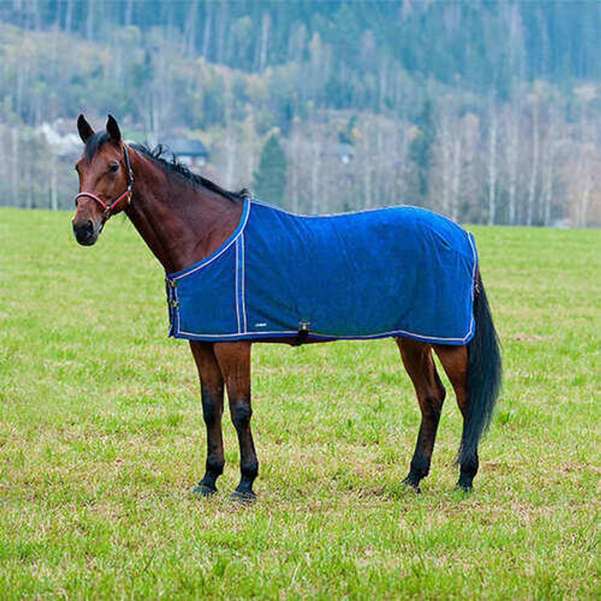 Finntack fleece dækken med netfoer - Blå, 145cm