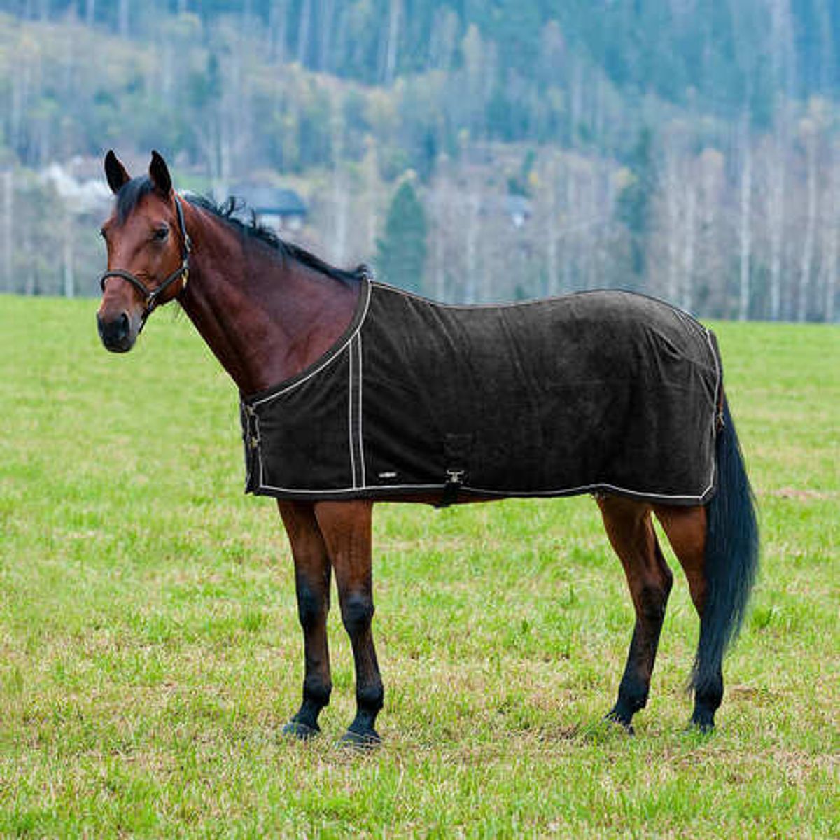 Finntack fleece dækken med netfoer - Sort, 145 cm