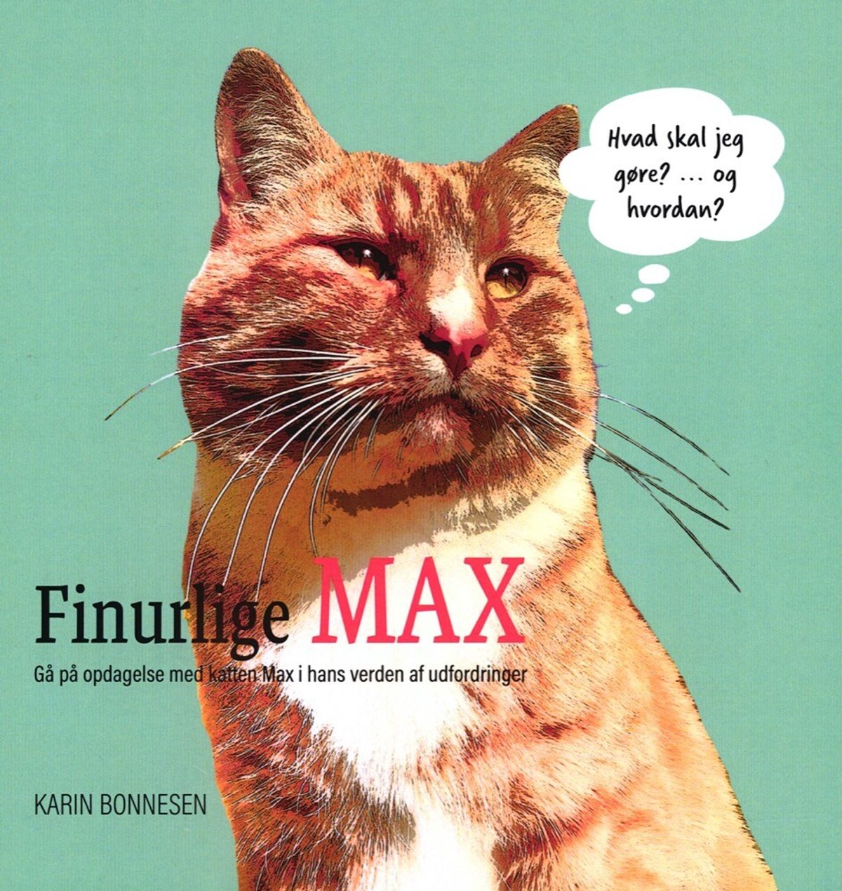 Finurlige Max - Karin Bonnesen - Bog