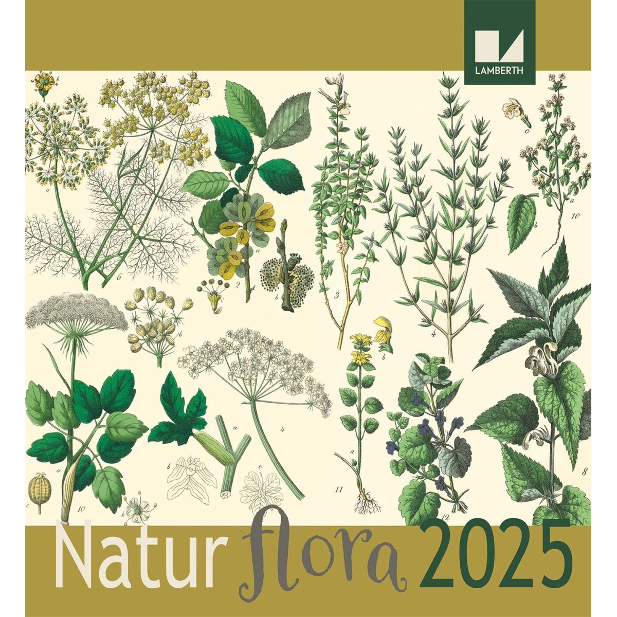 Flora Kalender 2025