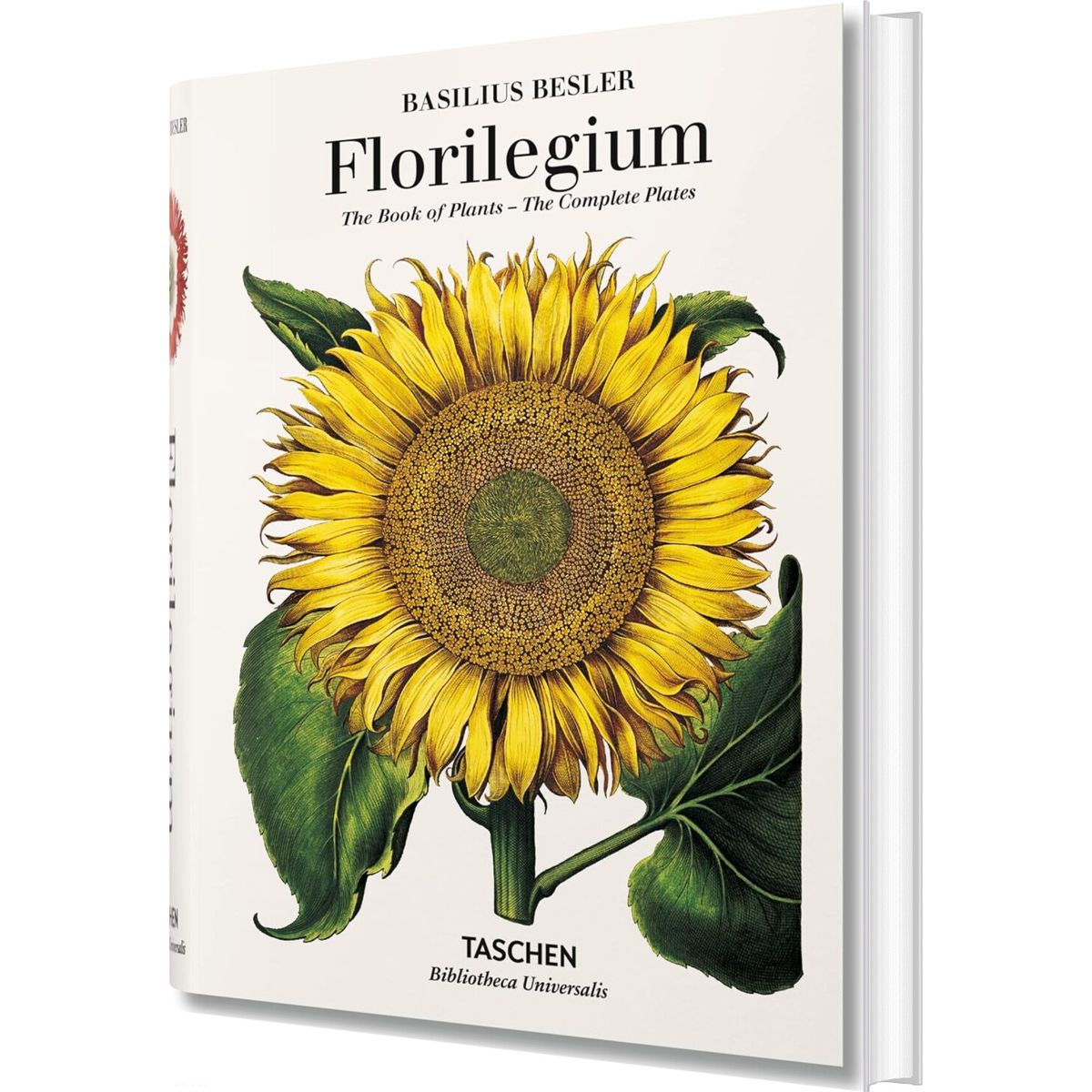 Florilegium - Basilius Besler - English Book