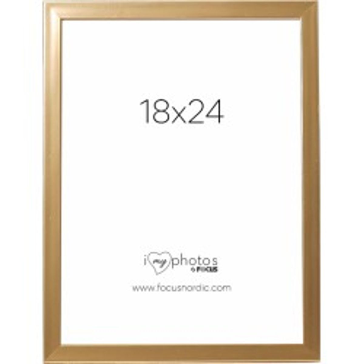 Focus Pop Gold 18x24 - Ramme