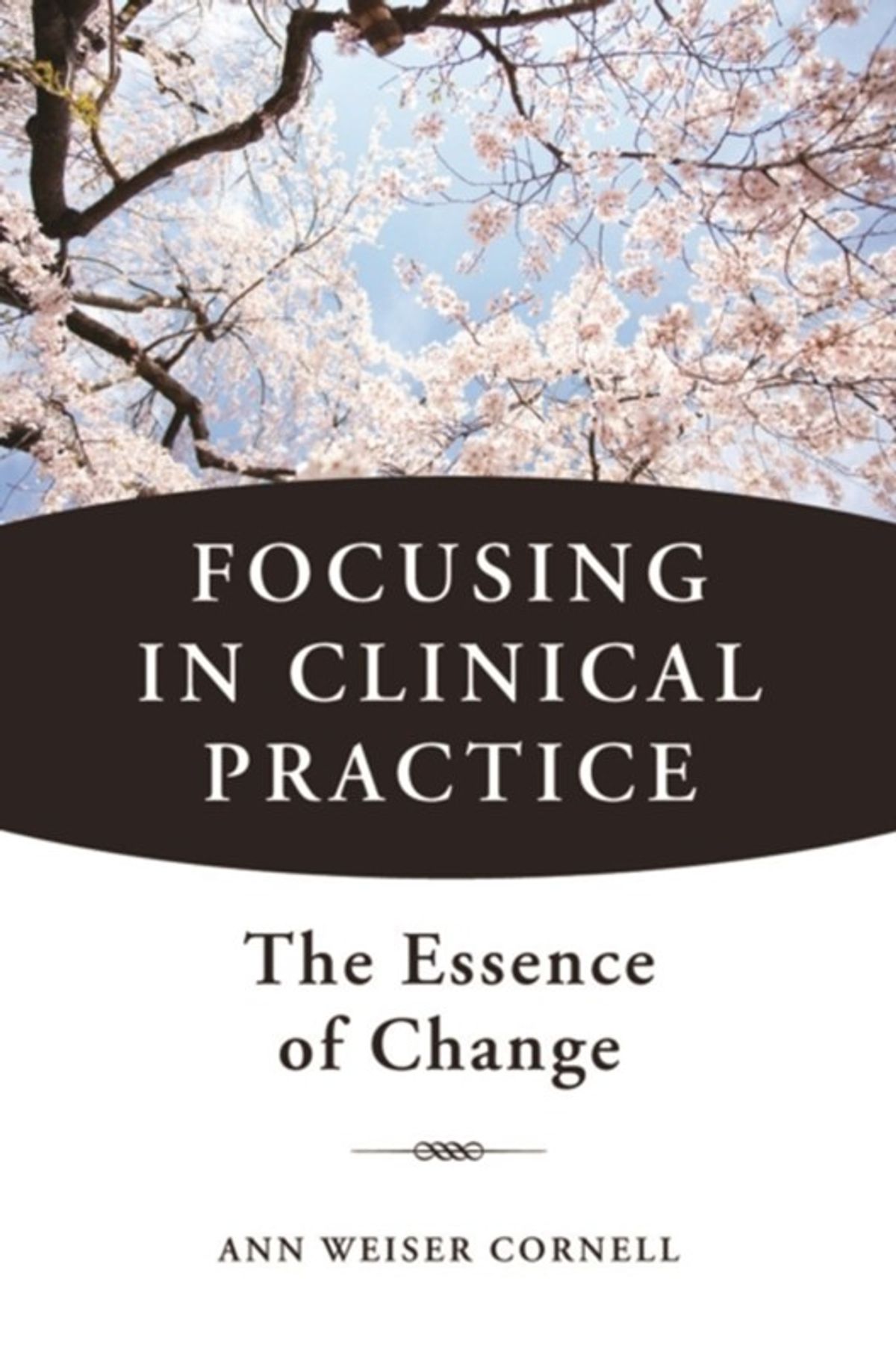 Focusing in Clinical Practice