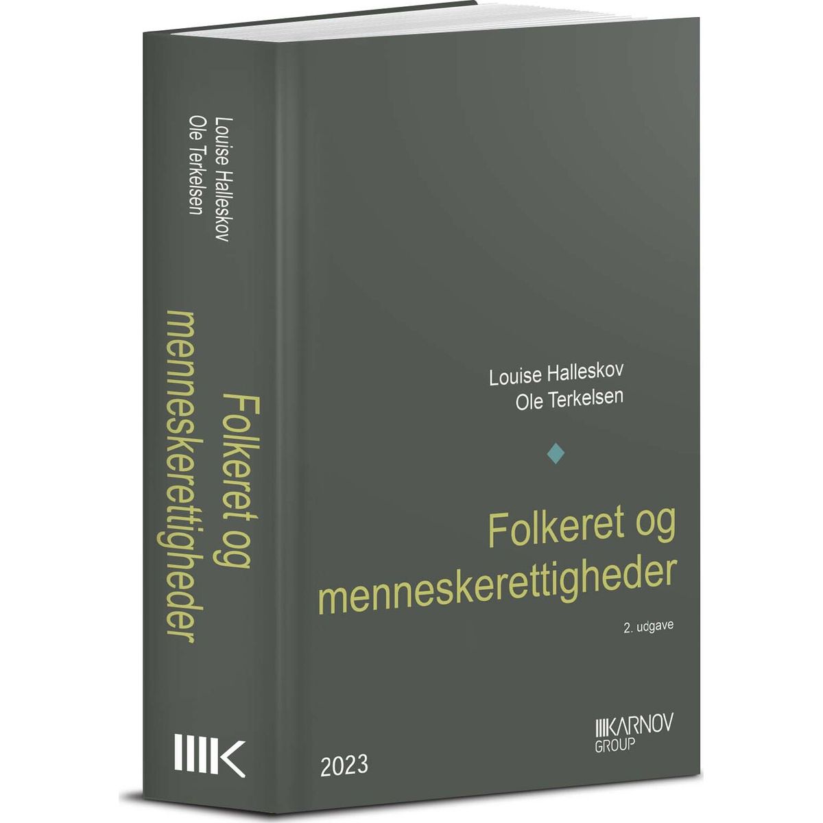 Folkeret Og Menneskerettigheder - Ole Terkelsen - Bog