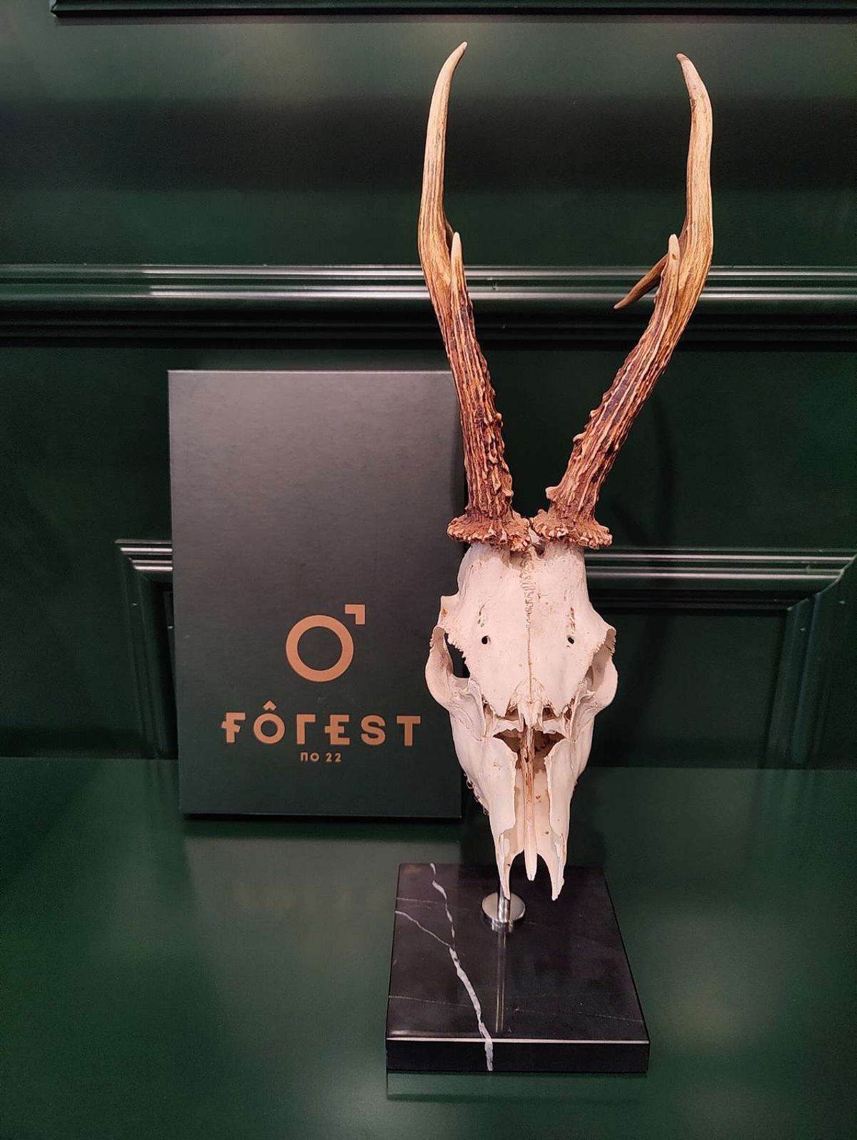 Forest nr. 22 Roe Buck Marble Mount Black