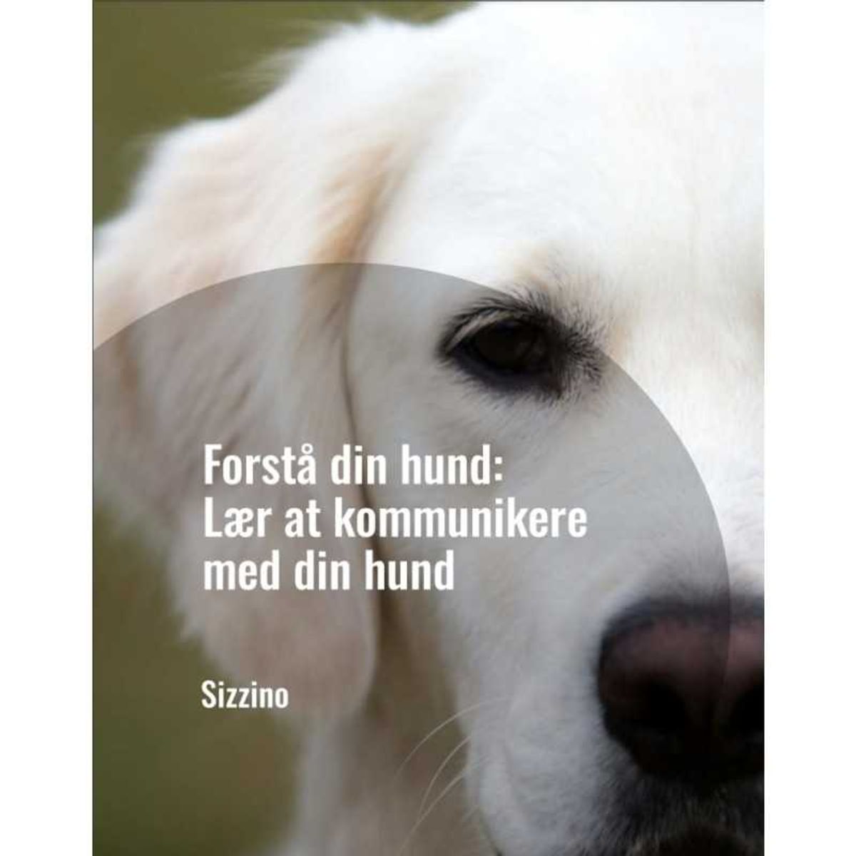 Forstå din hund: Lær at kommunikere med din hund