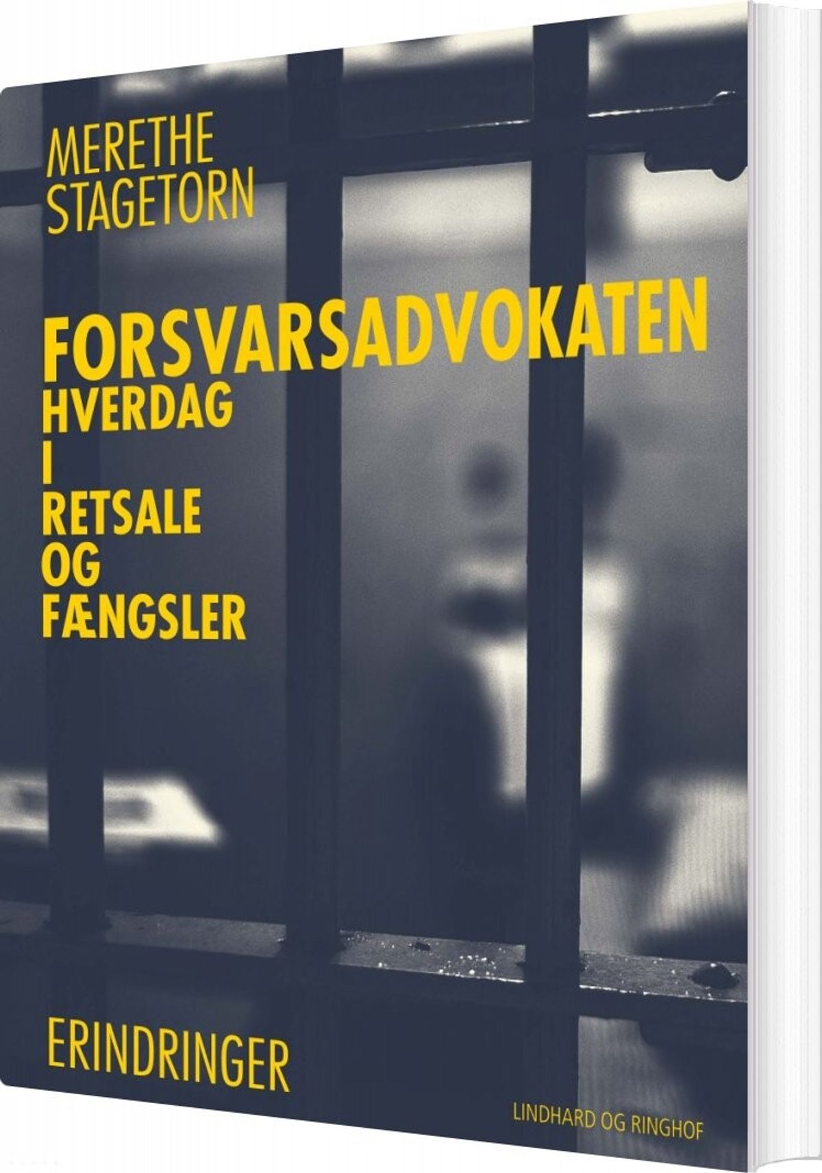 Forsvarsadvokaten - Hverdag I Retsale Og Fængsler - Merethe Stagetorn - Bog