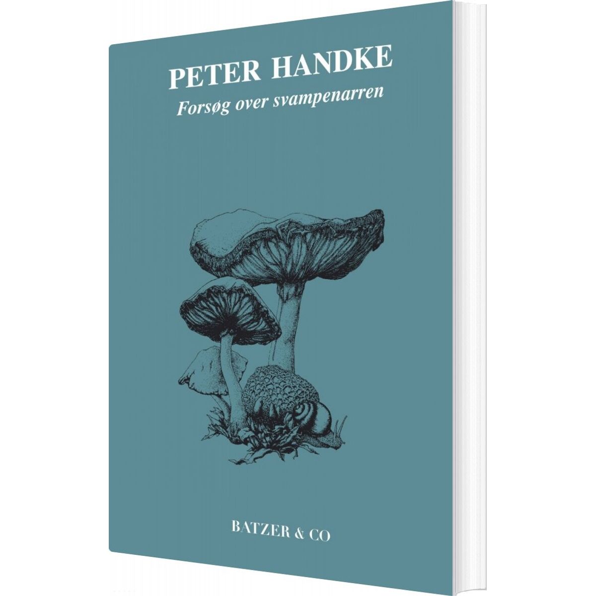 Forsøg Over Svampenarren - Peter Handke - Bog