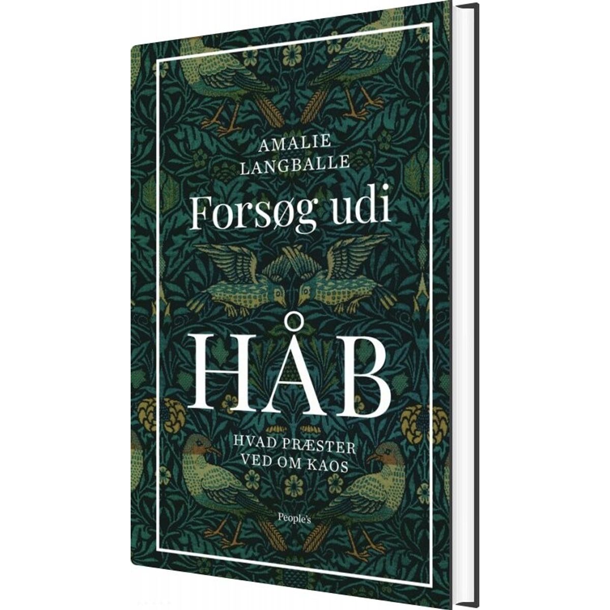 Forsøg Udi Håb - Amalie Langballe - Bog