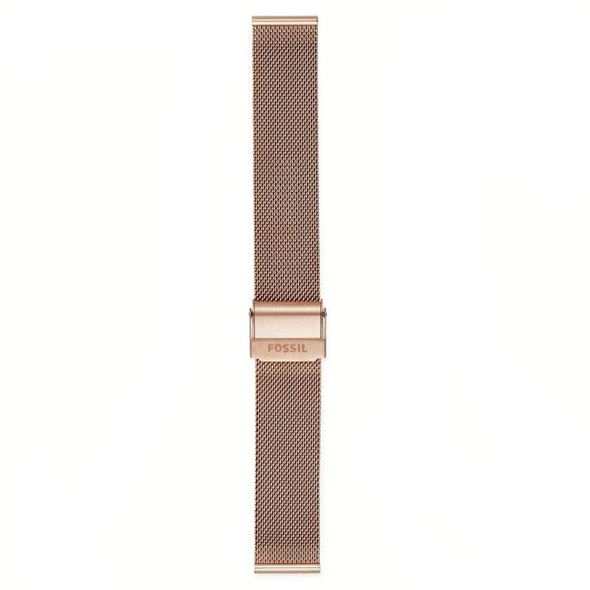 FOSSIL UR - S181375